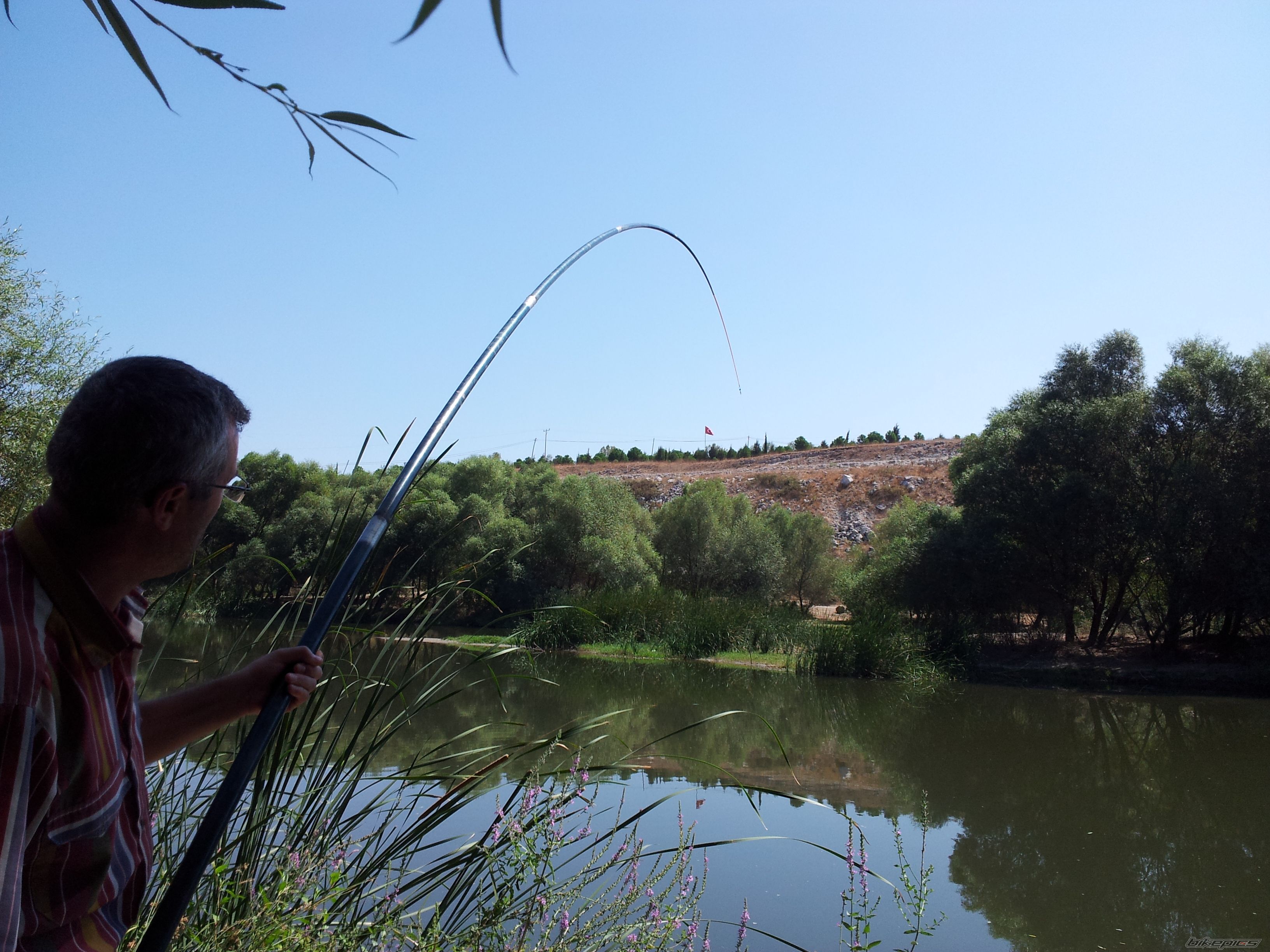 Photo 2449421