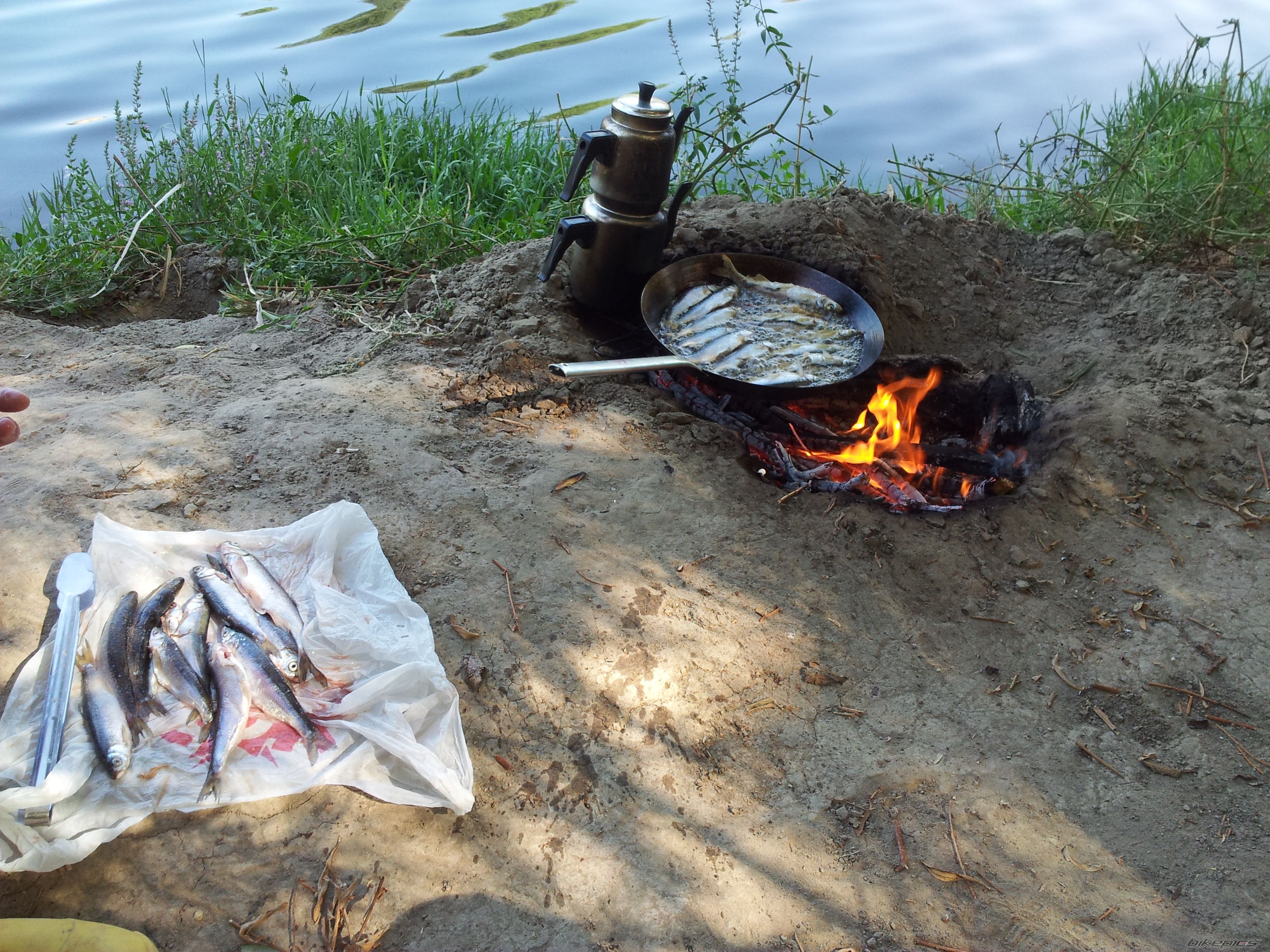 Photo 2449423