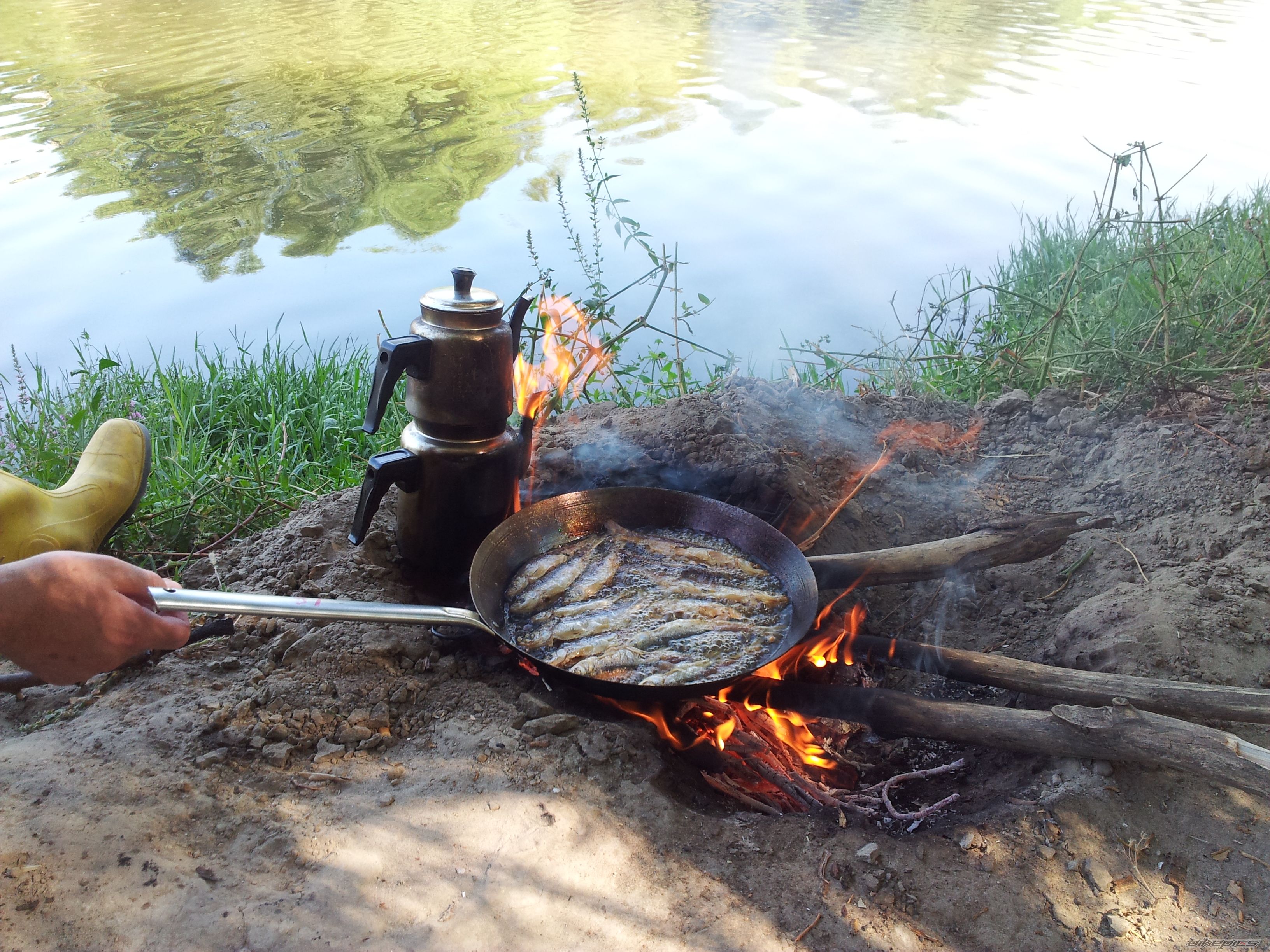 Photo 2449425