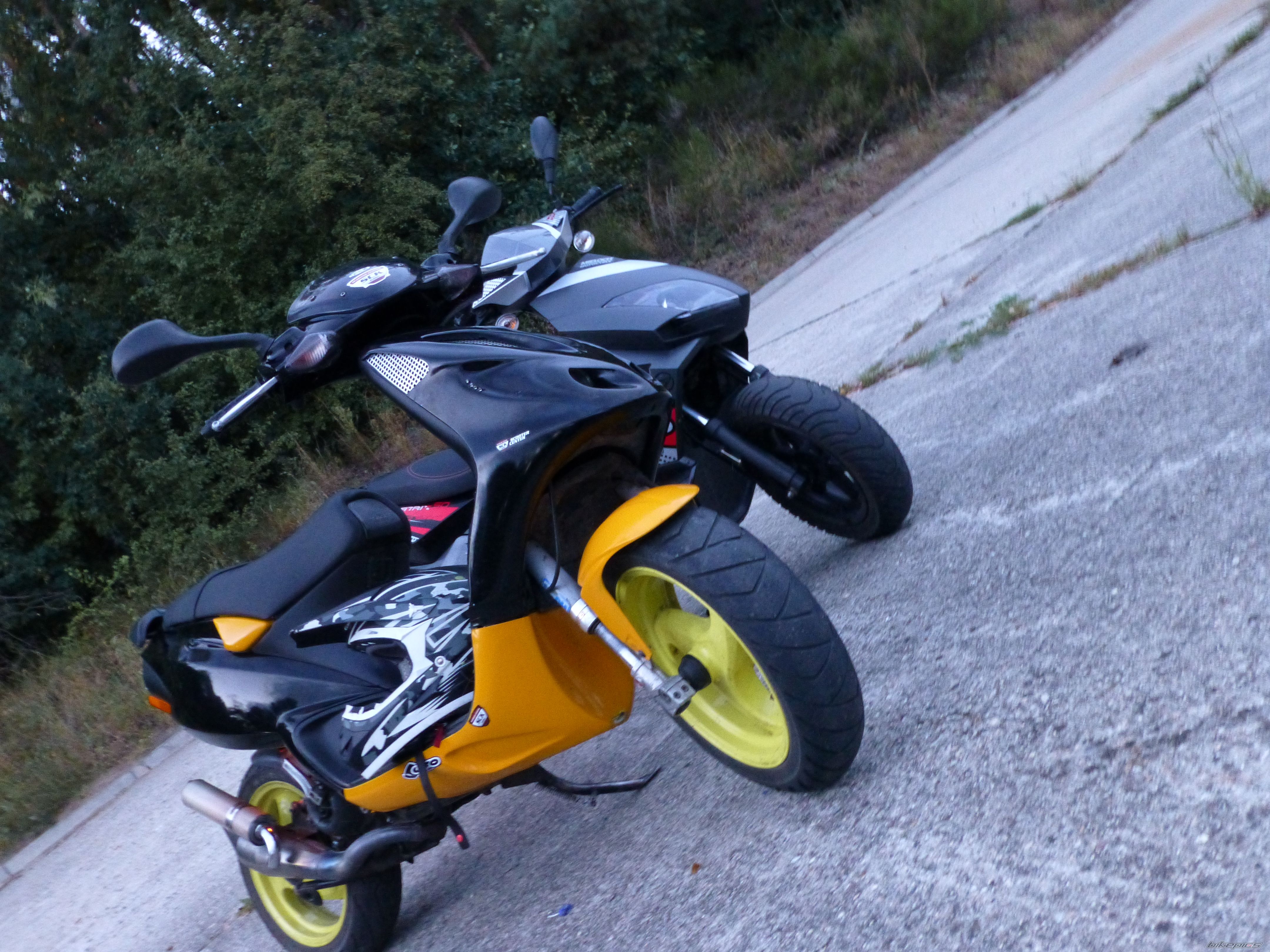 Photo 2449442