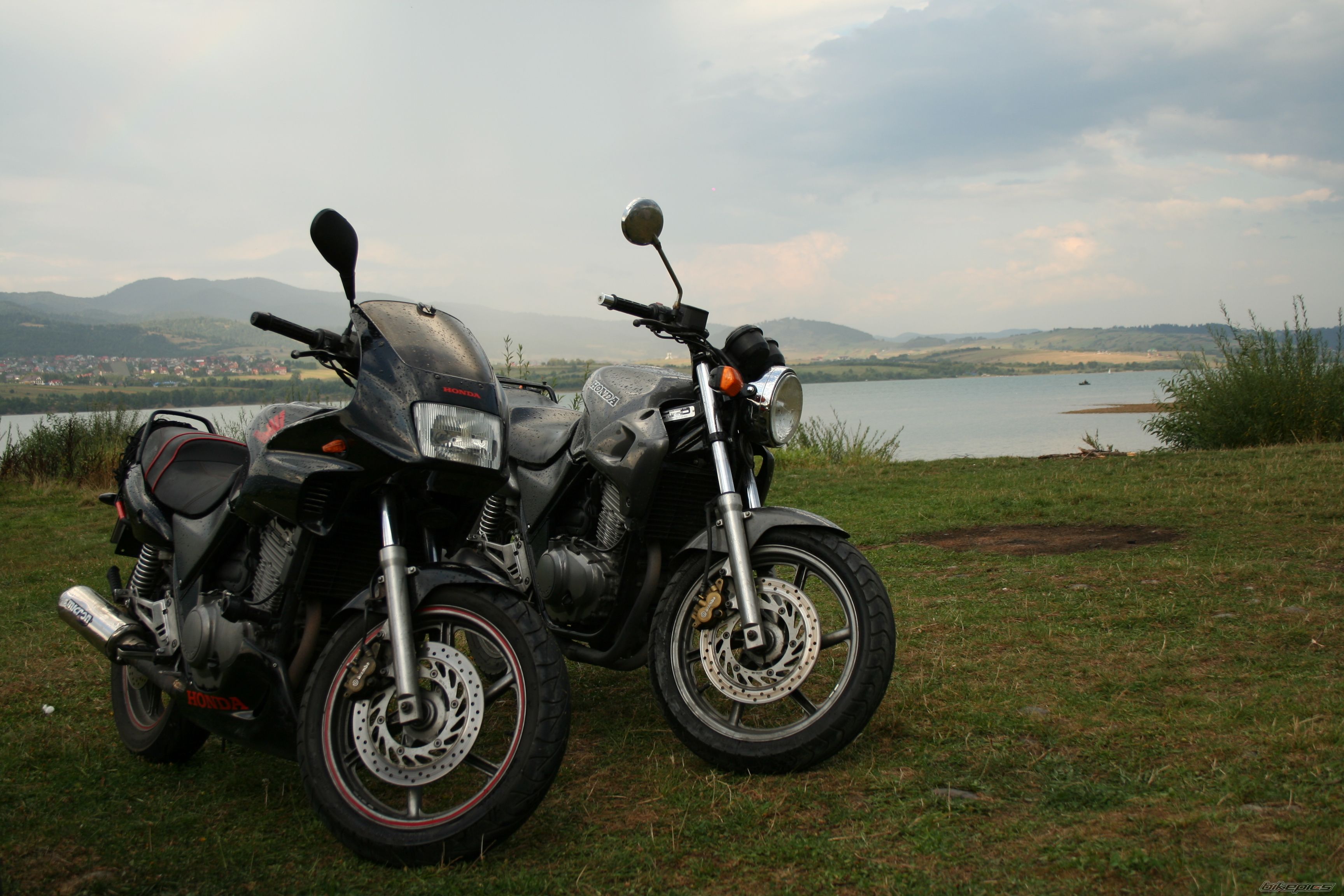 Photo 2449471