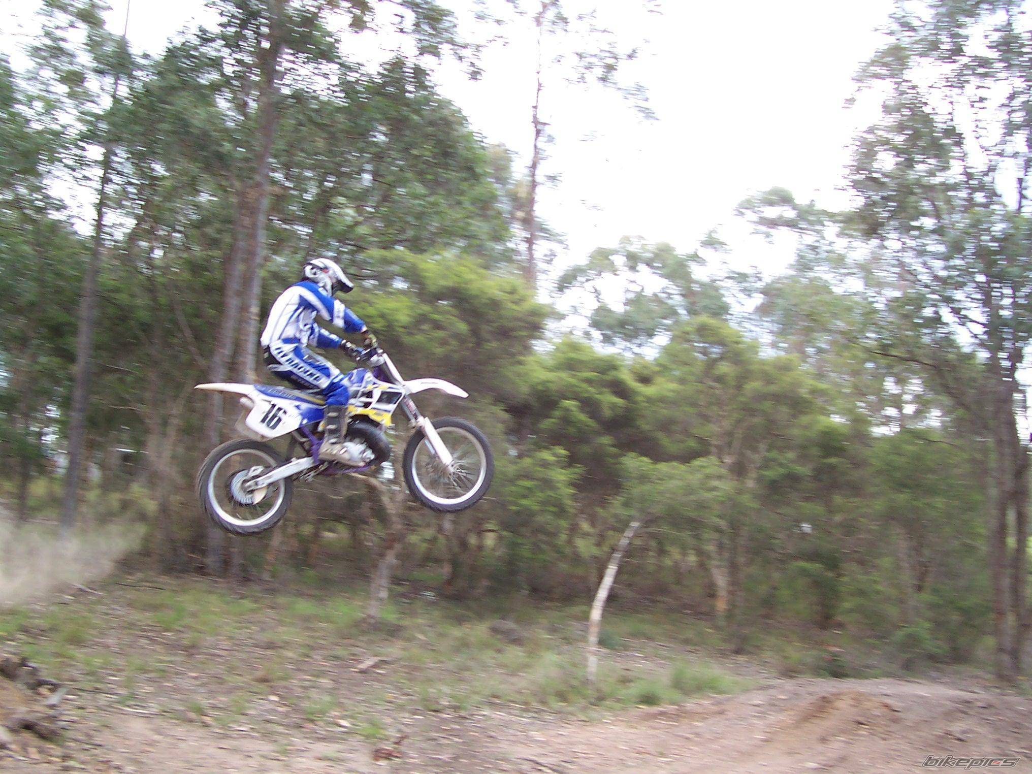 Photo 244973