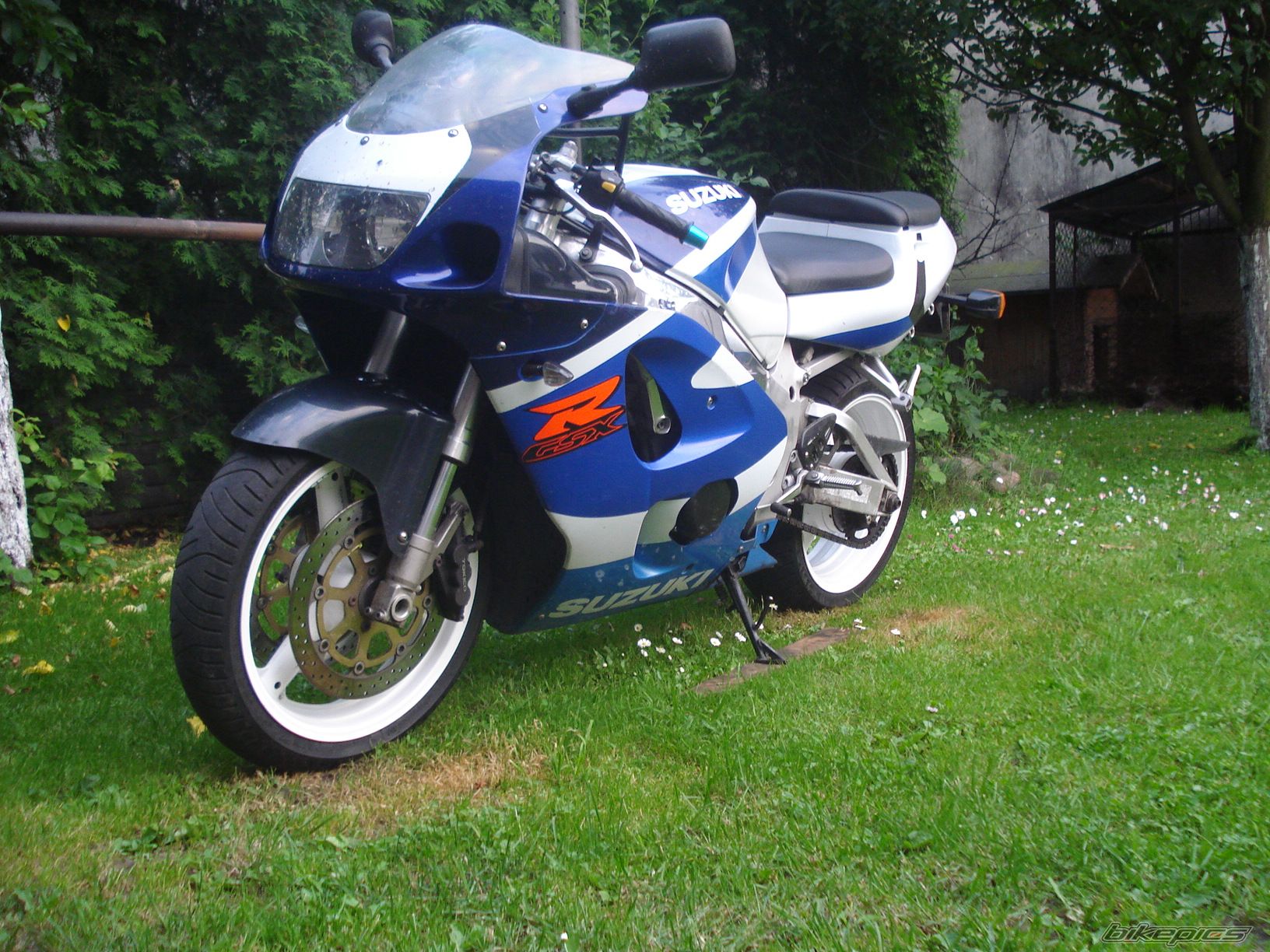 Photo 2449935