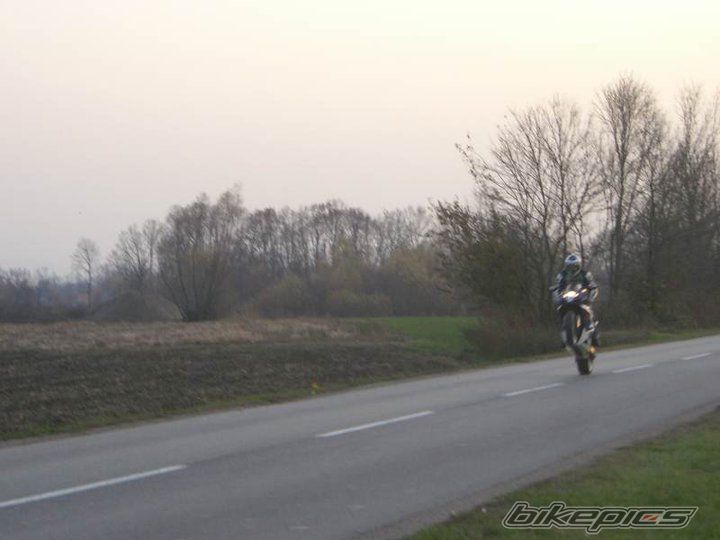Photo 2449940