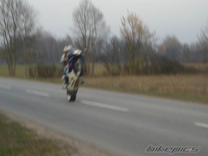 Photo 2449944