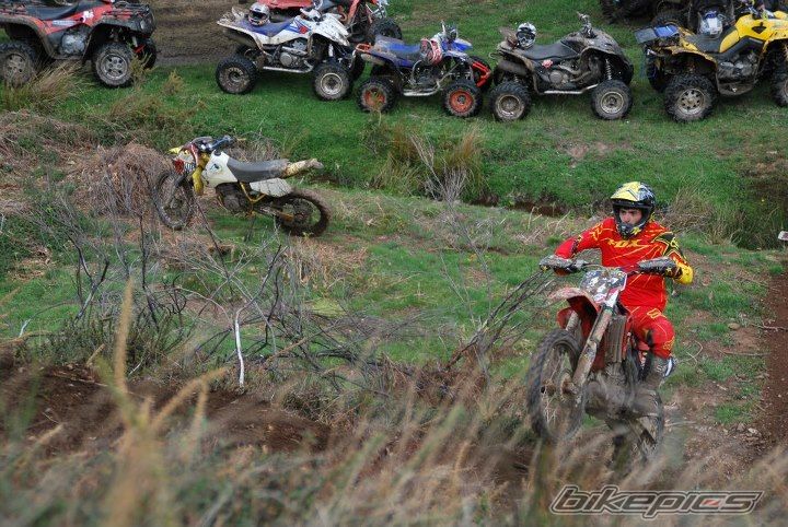 Photo 2449970