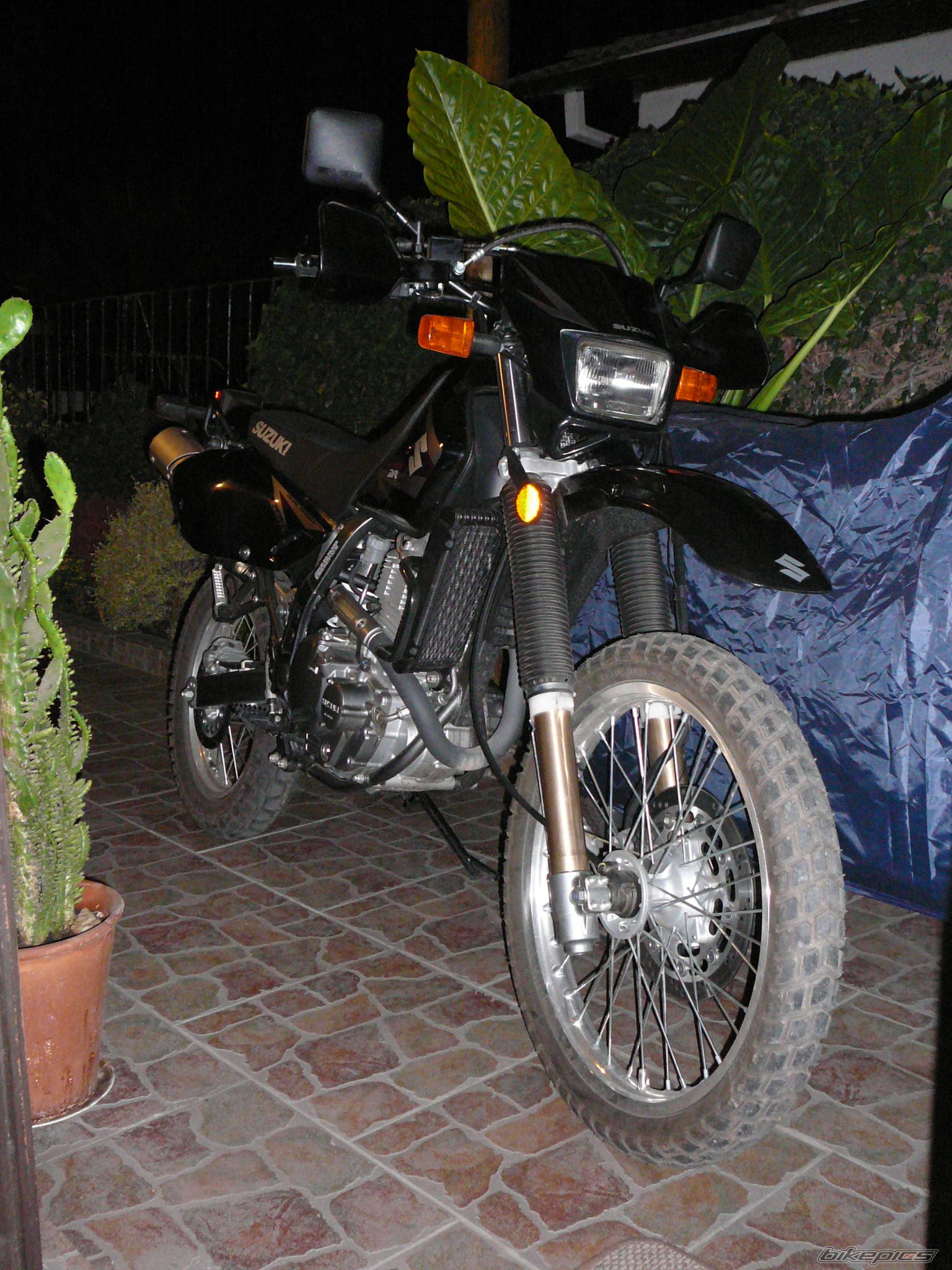 Photo 2449986