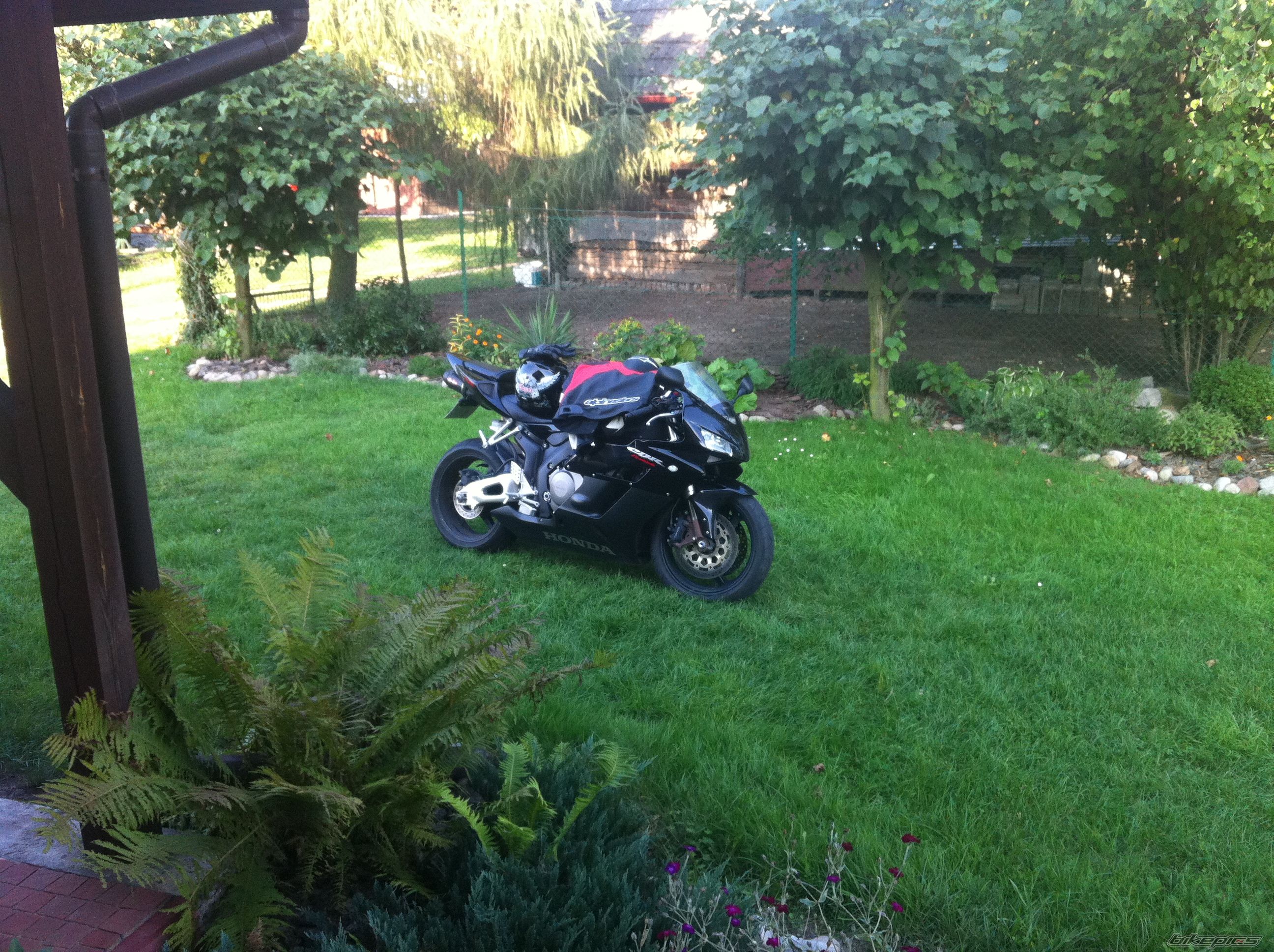 Photo 2450107