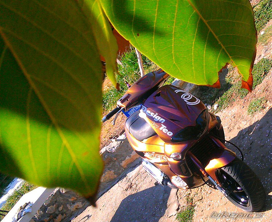 Bike Photo 2450138