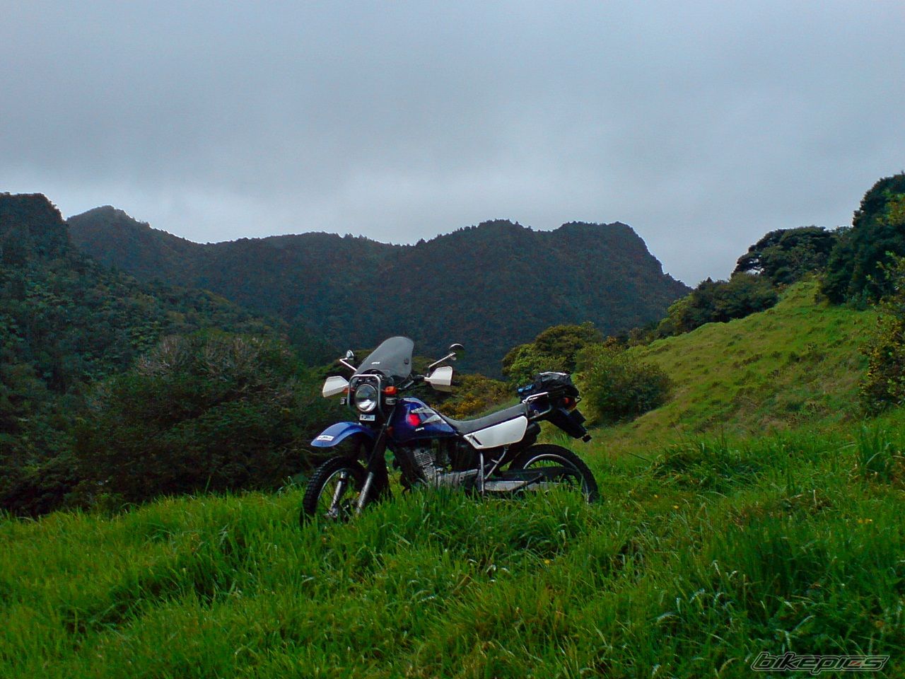 Bike Photo 2450150