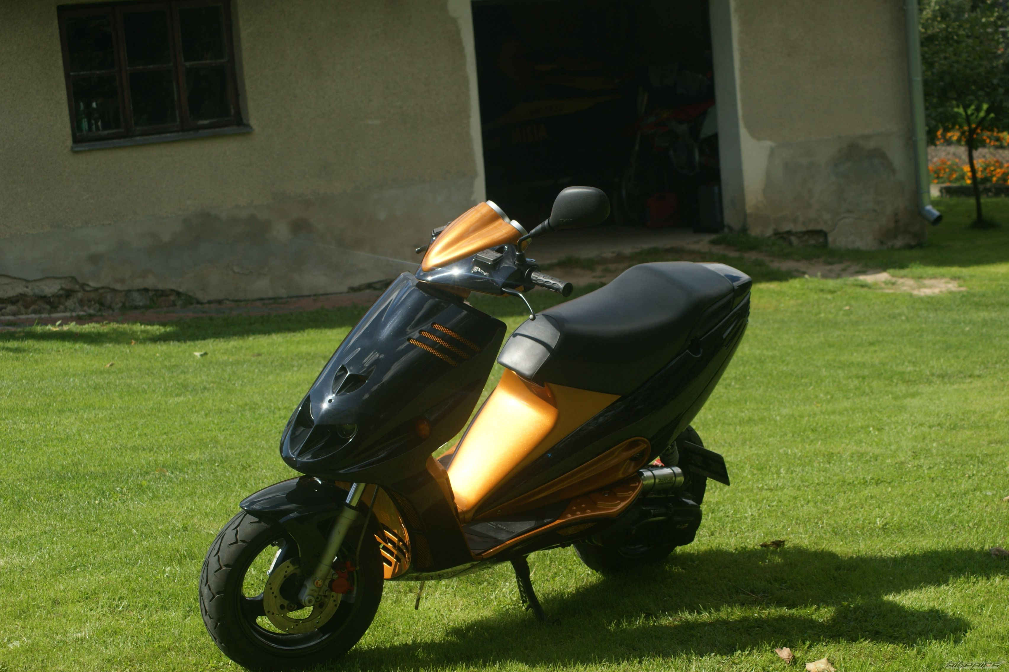 Photo 2450191