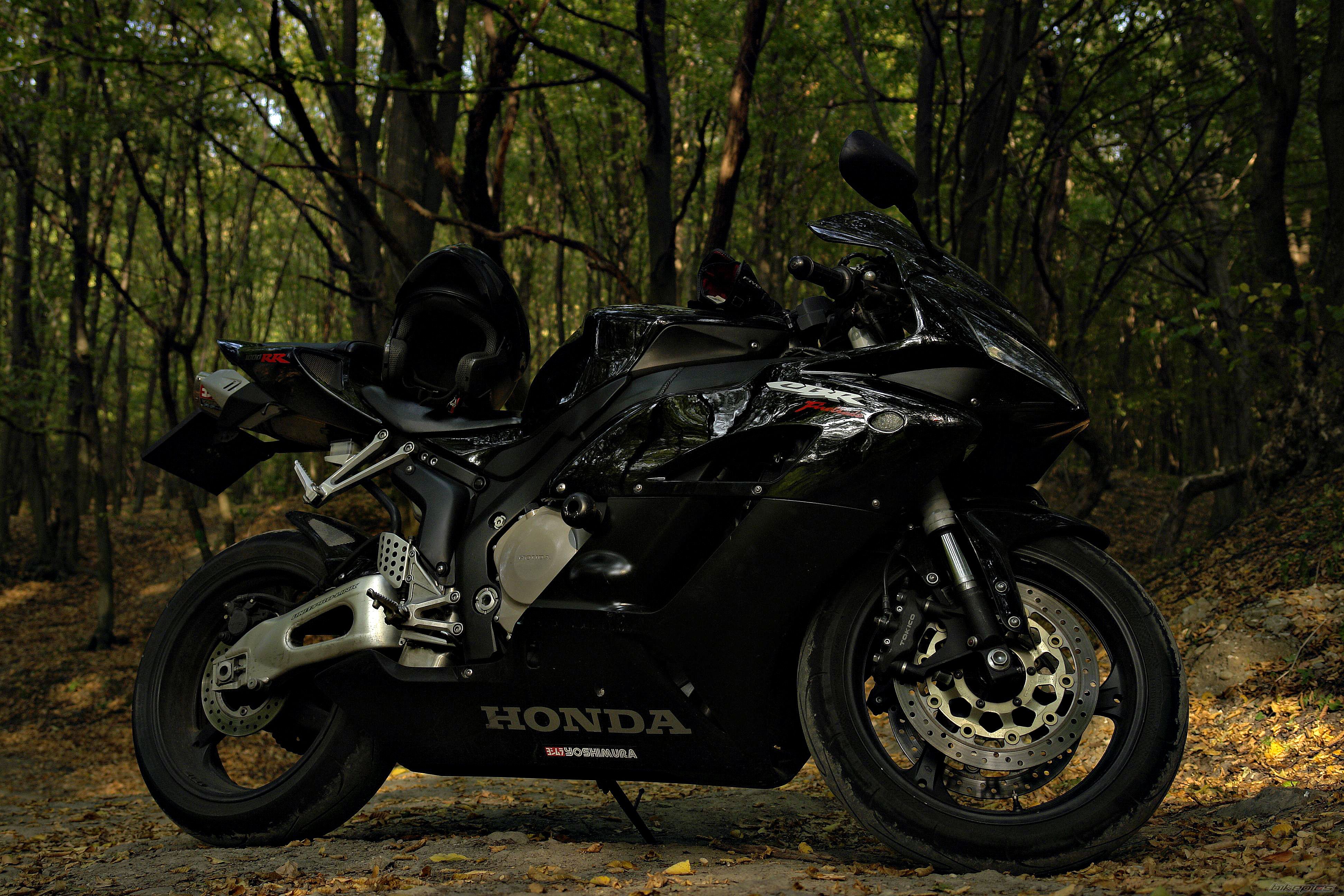 Photo 2450287