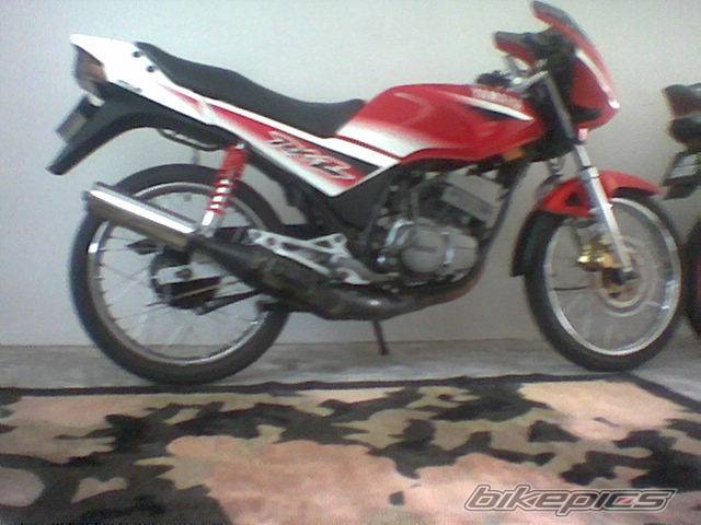 Photo 245041