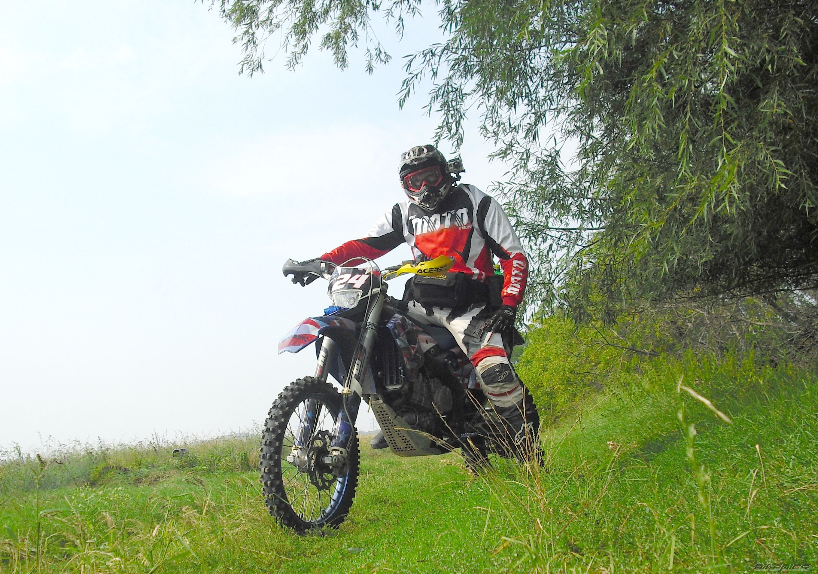 Photo 2450435