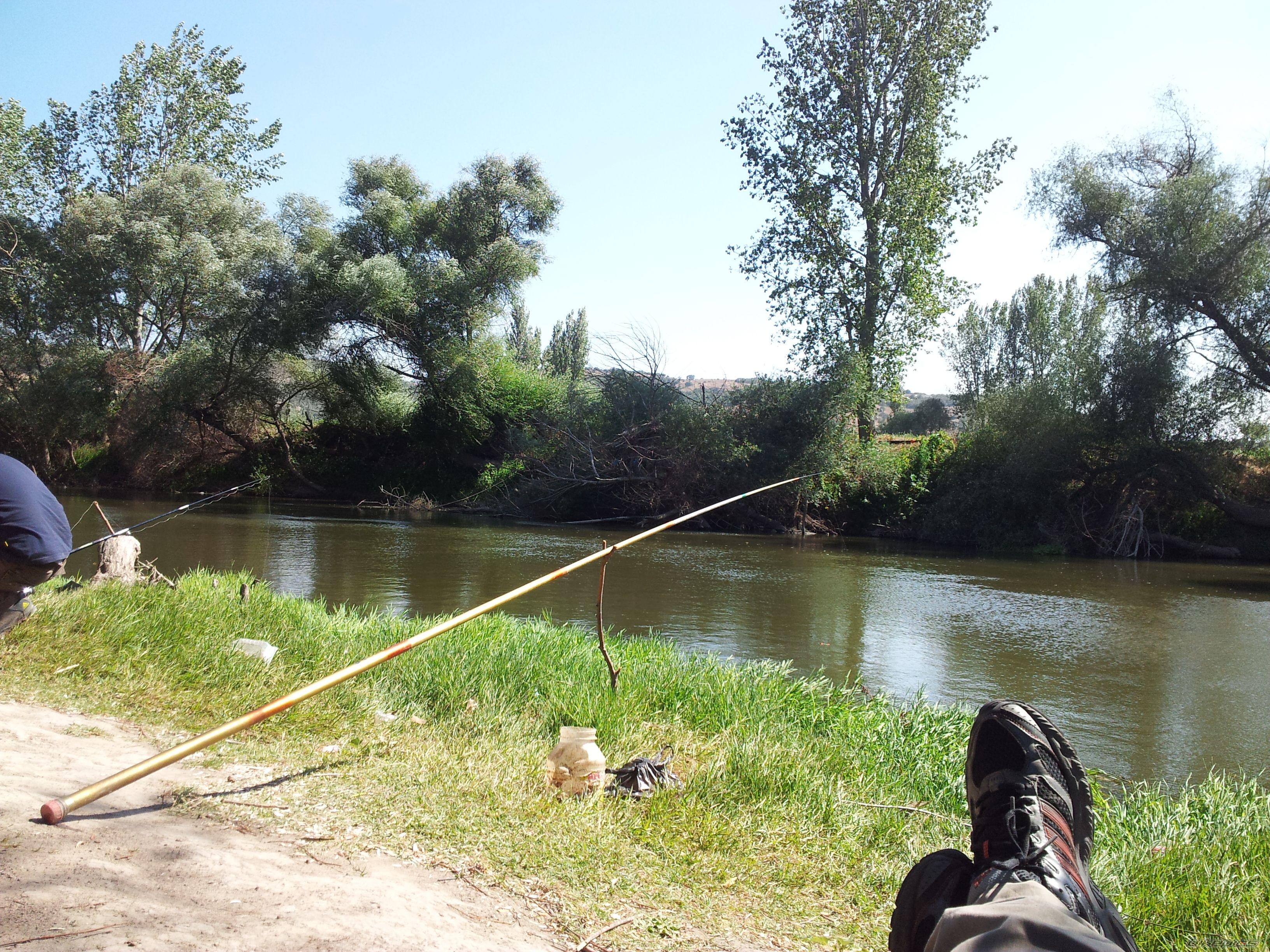 Photo 2450549
