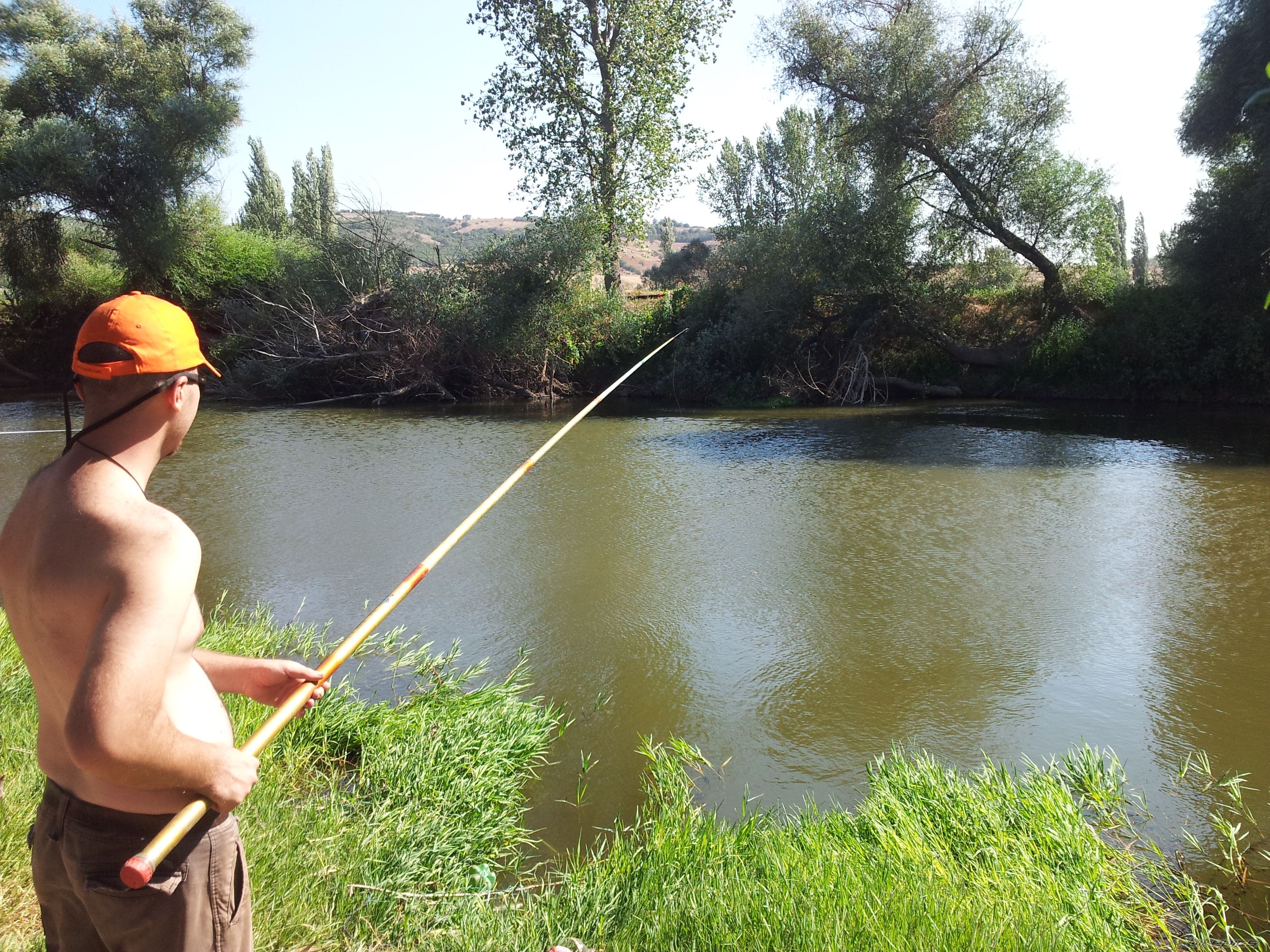 Photo 2450550