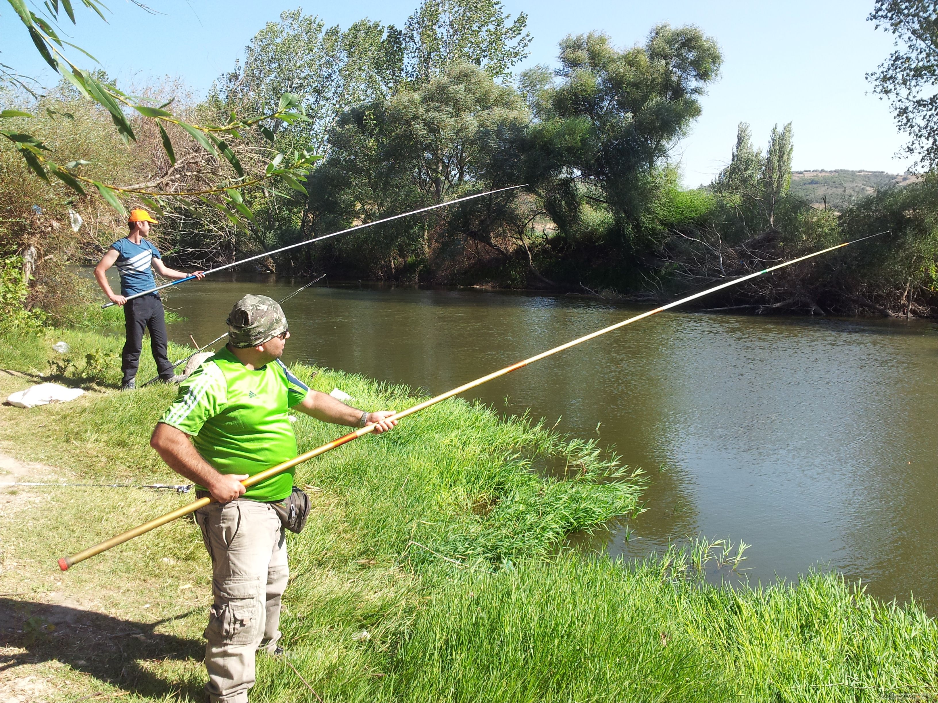 Photo 2450551