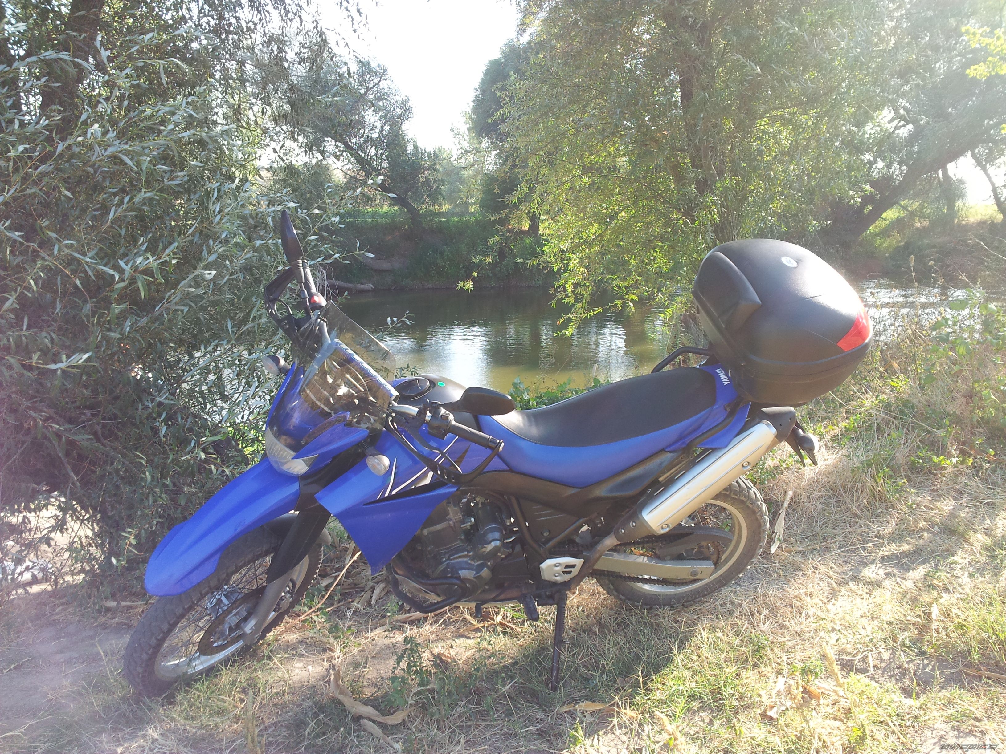 Photo 2450580