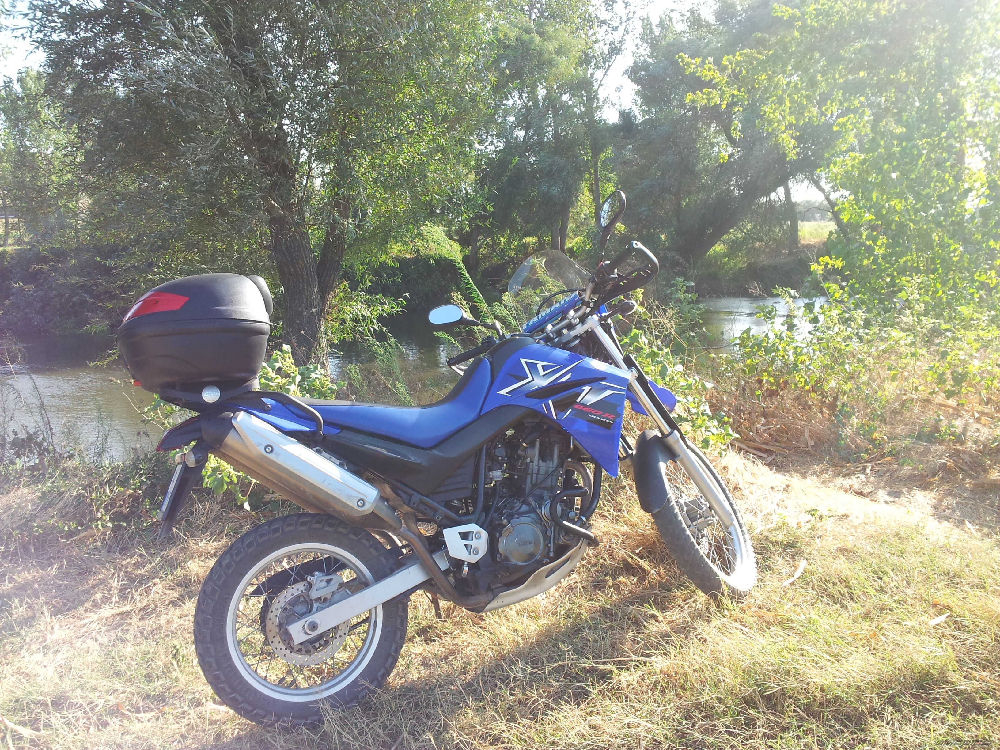 Photo 2450581
