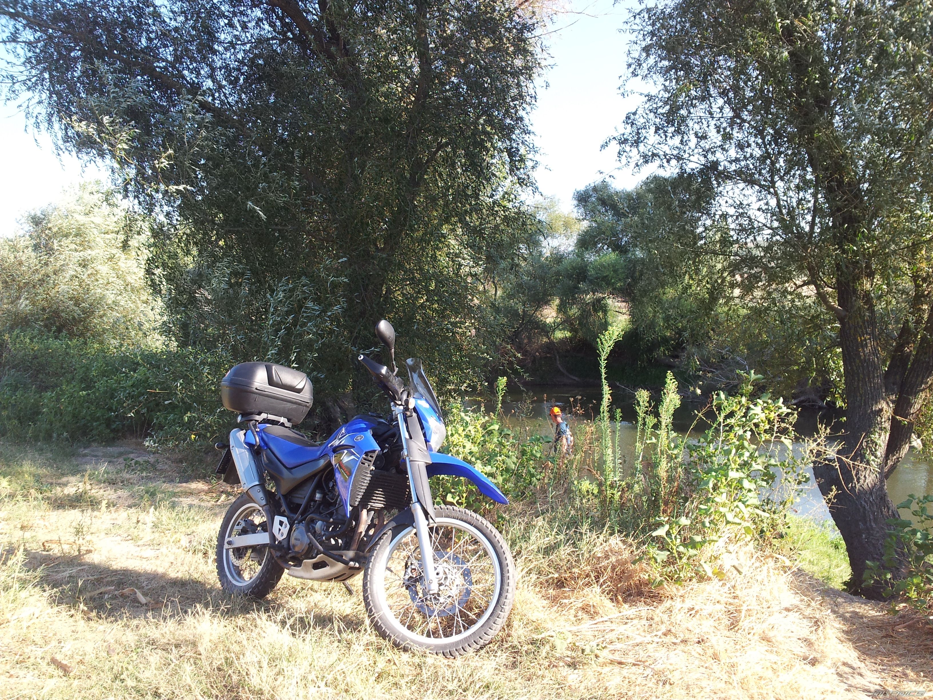 Photo 2450582