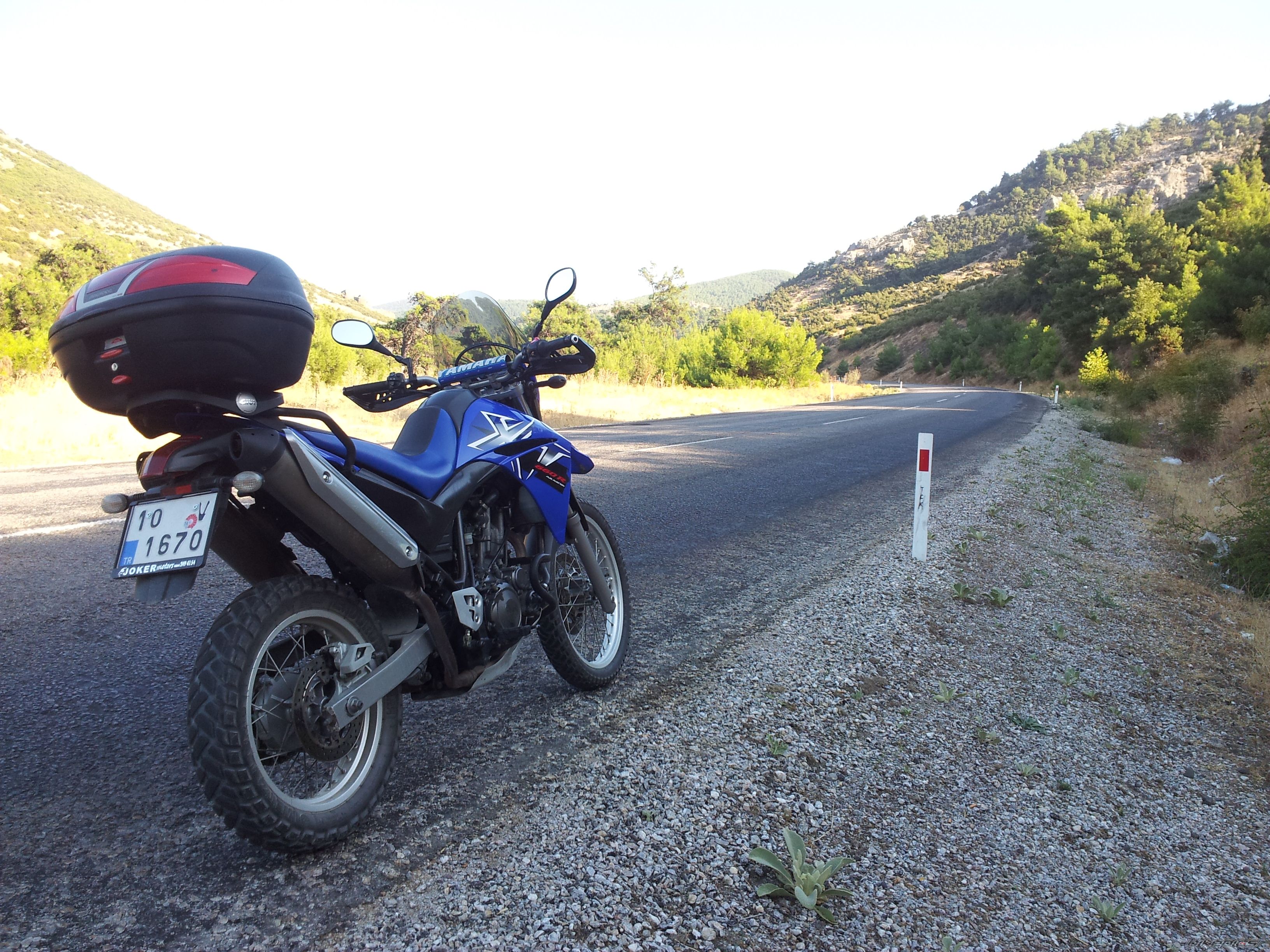 Photo 2450588