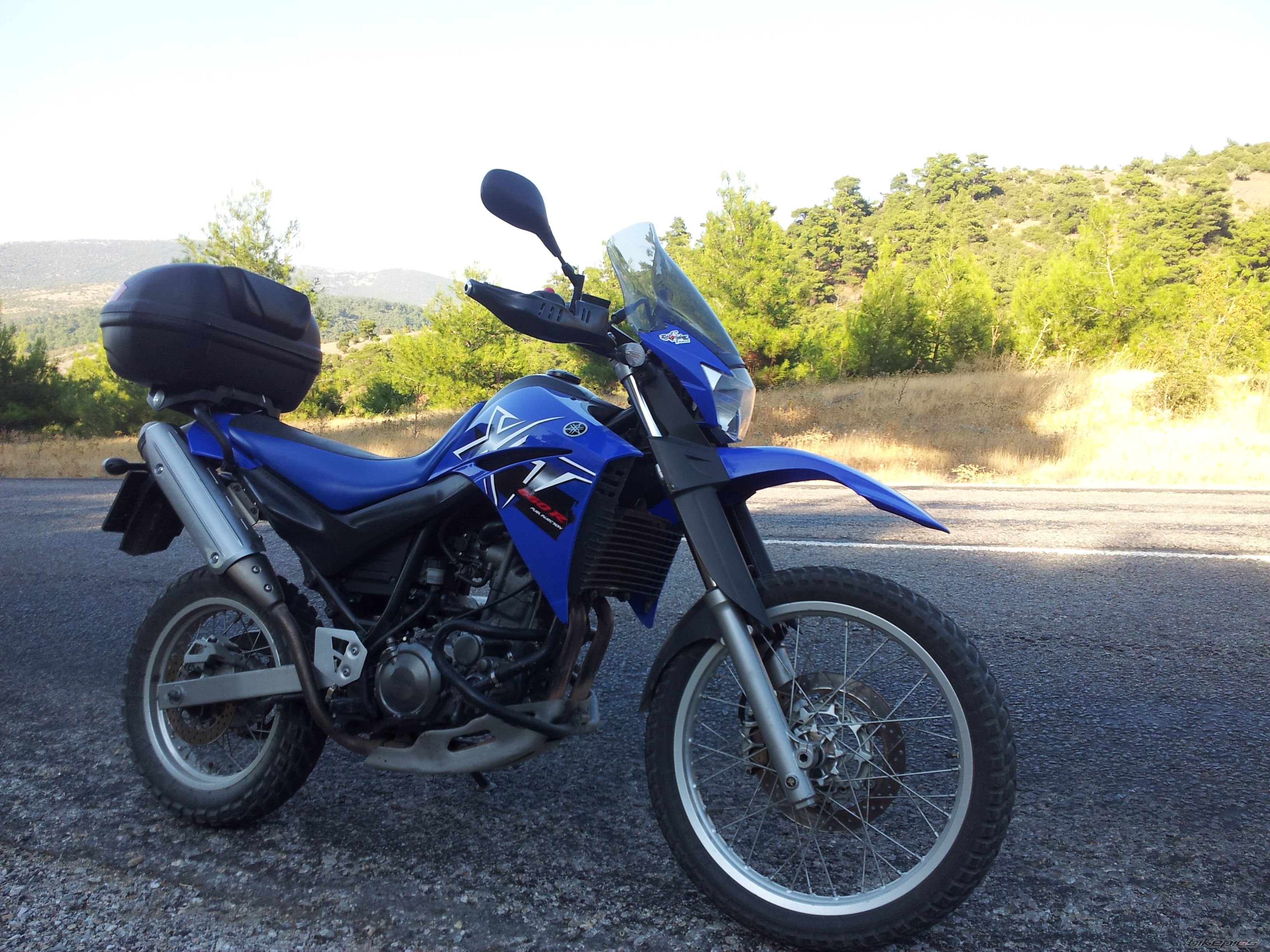 Photo 2450592