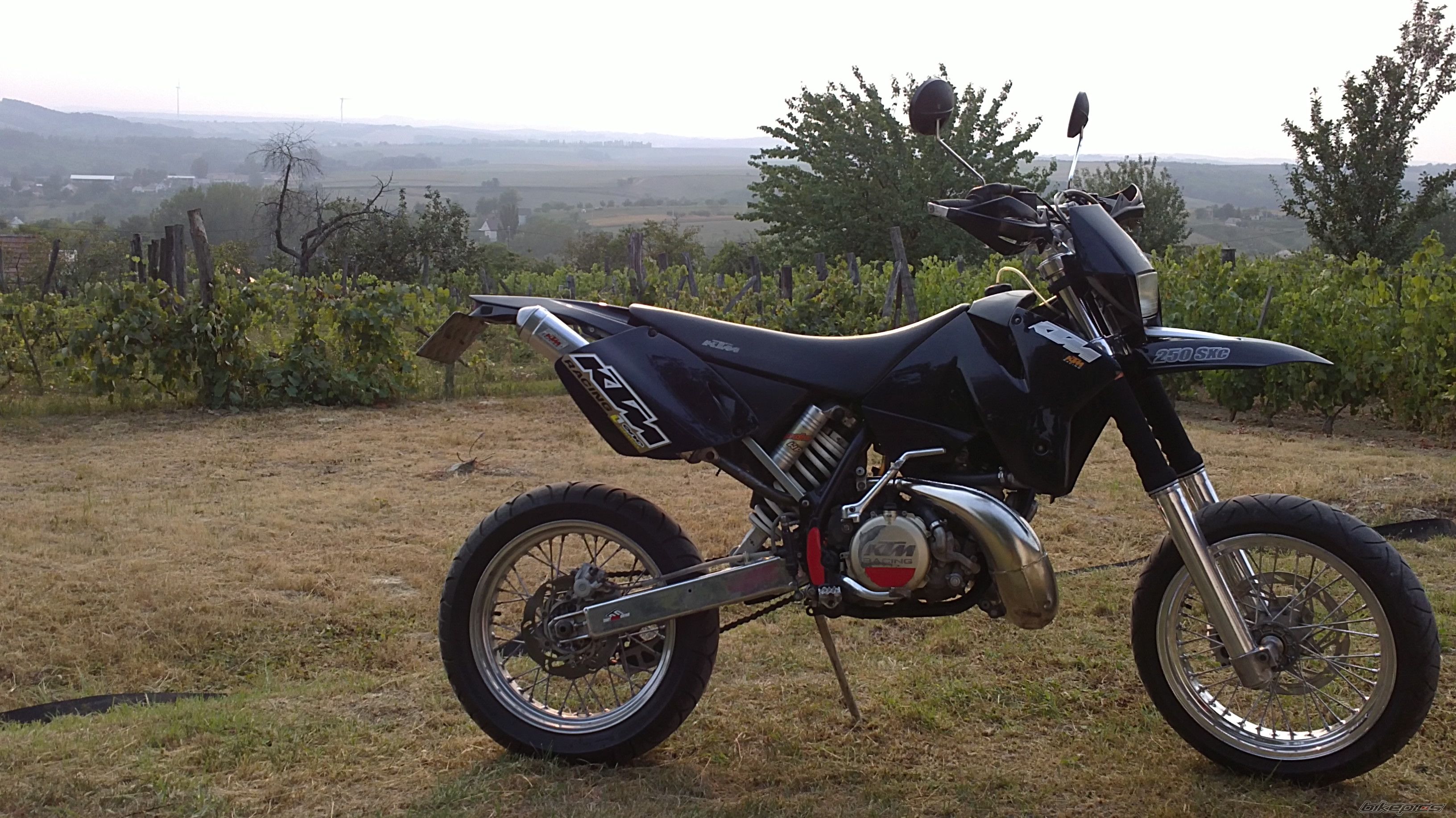 Photo 2450600