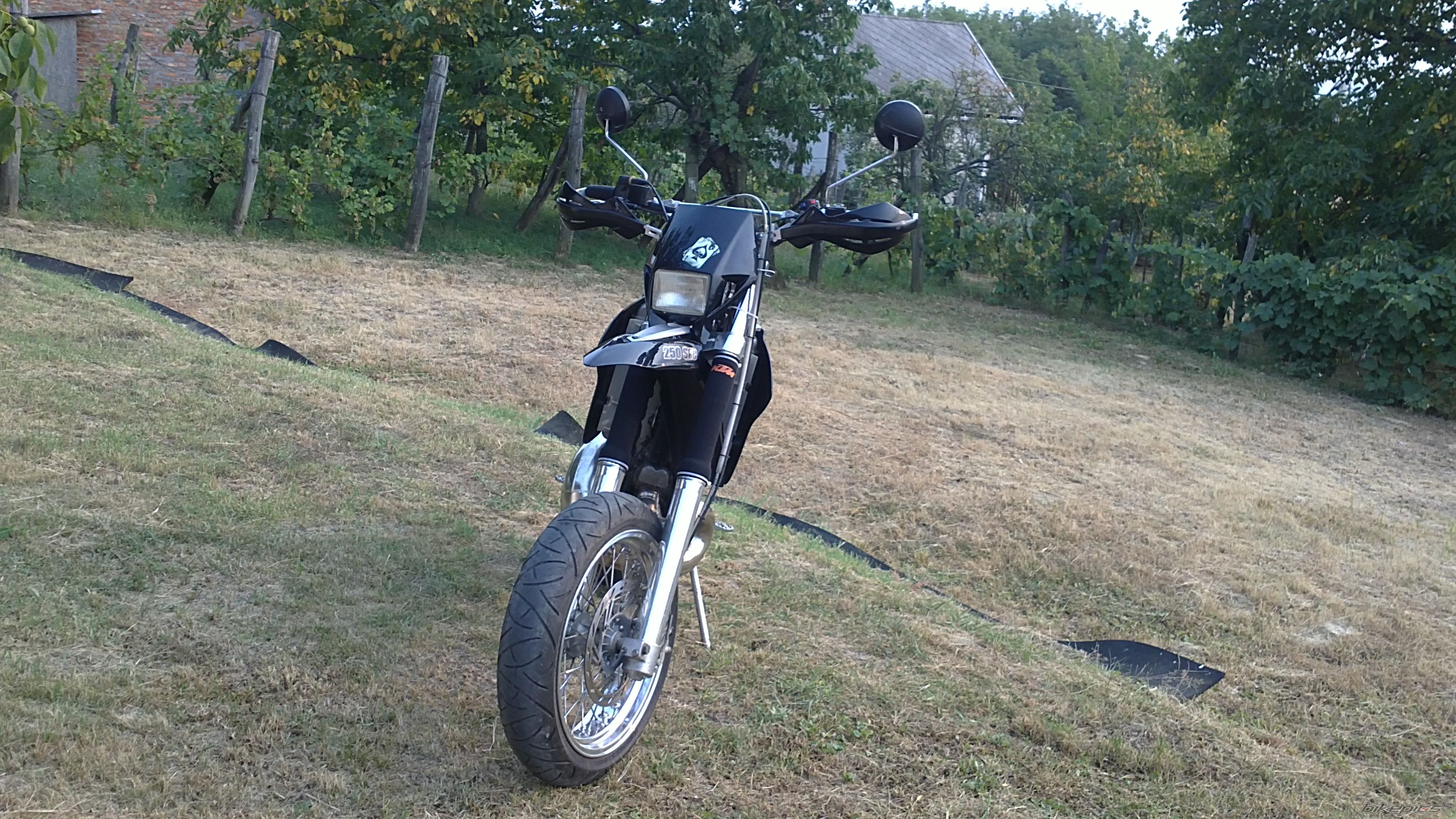 Photo 2450602