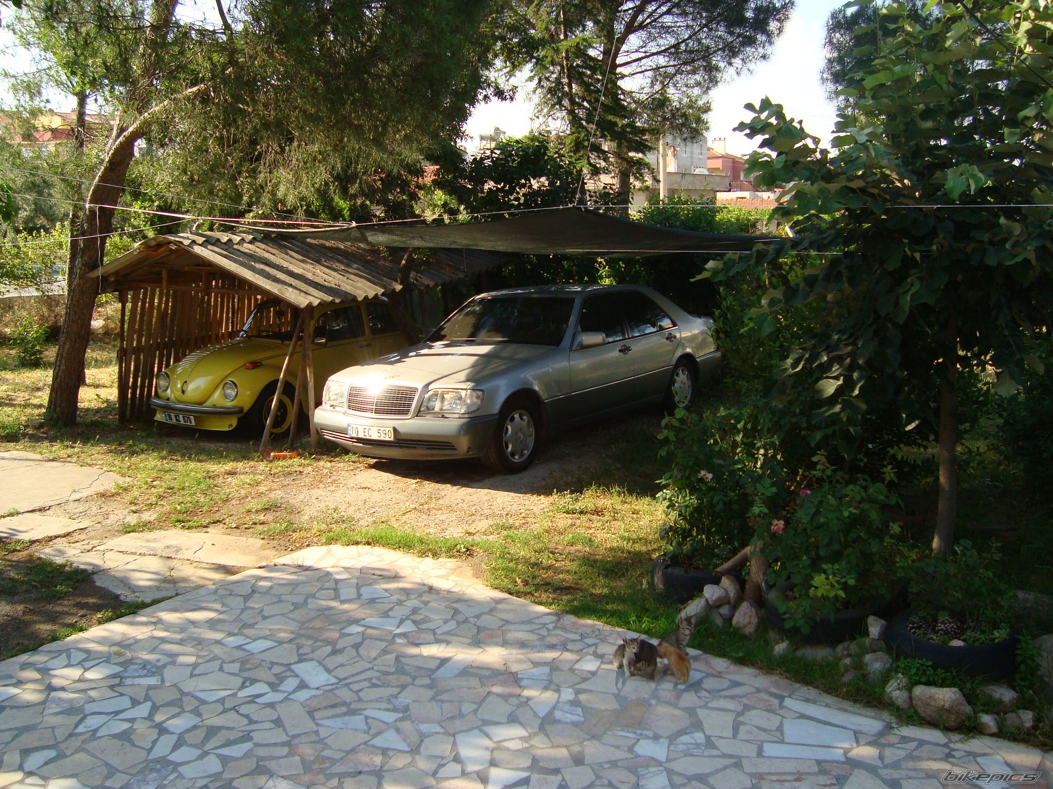 Photo 2450653
