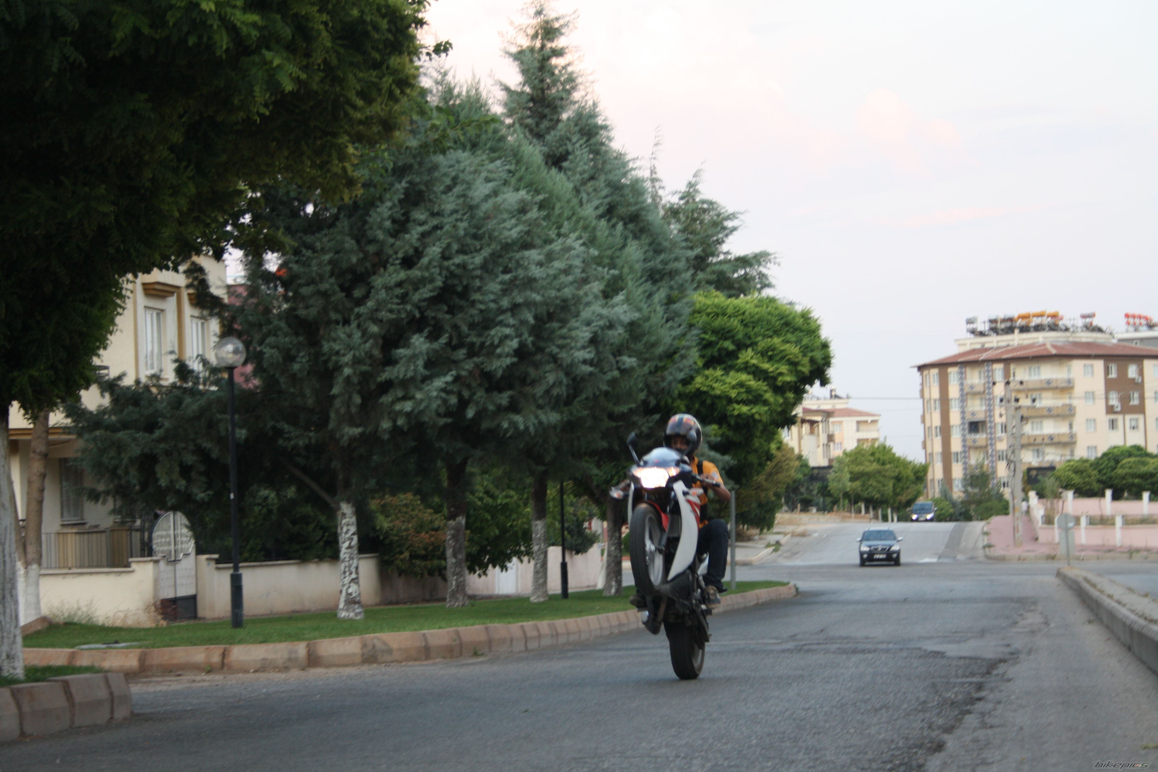 Photo 2450763