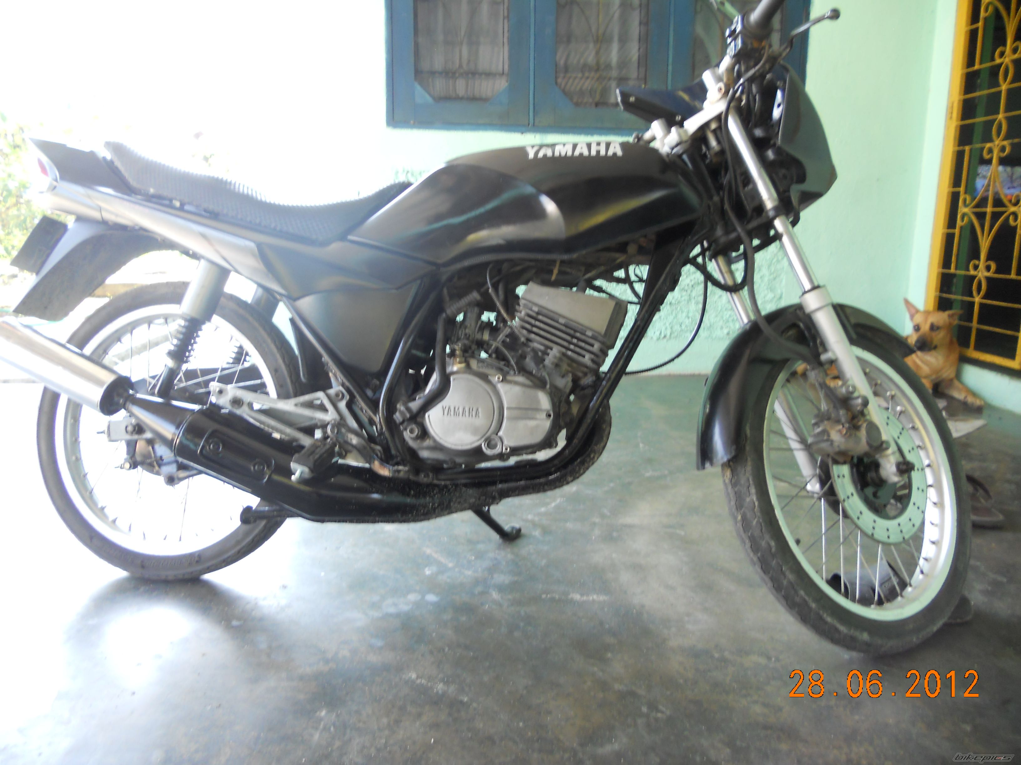 Photo 2450788