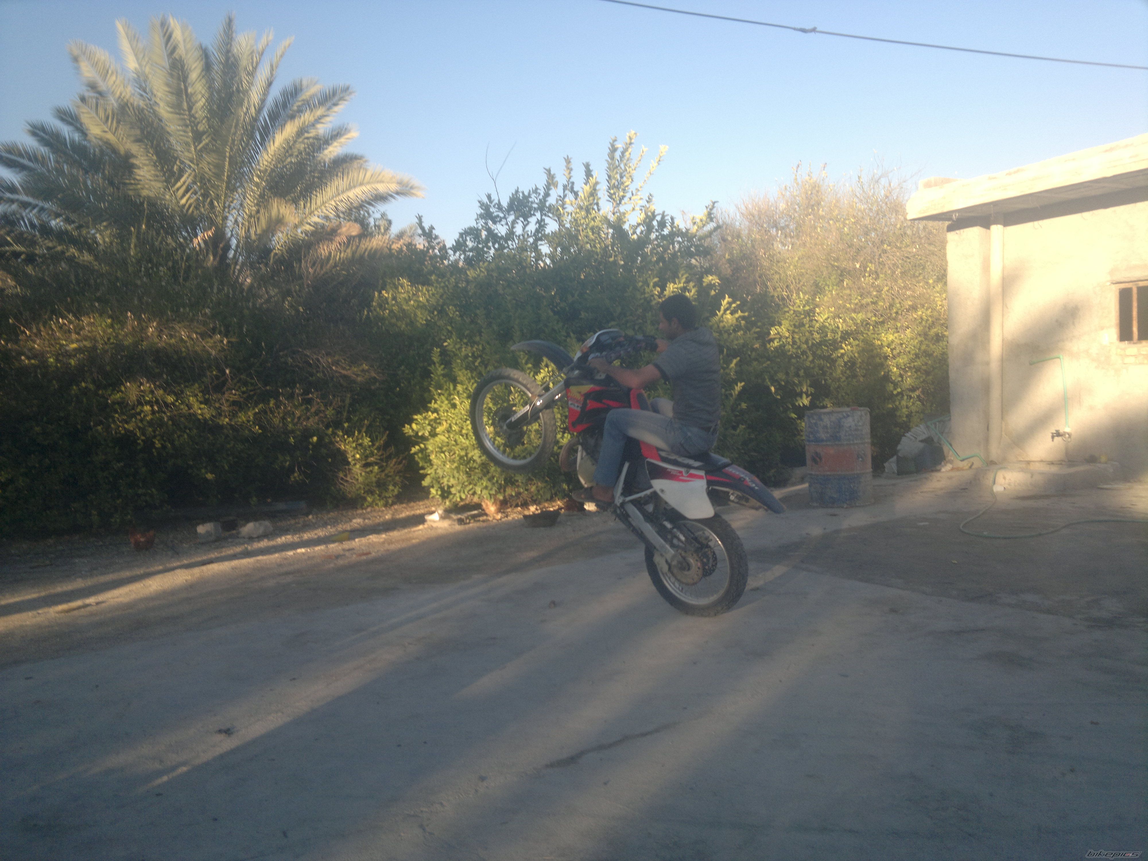 Photo 2450811