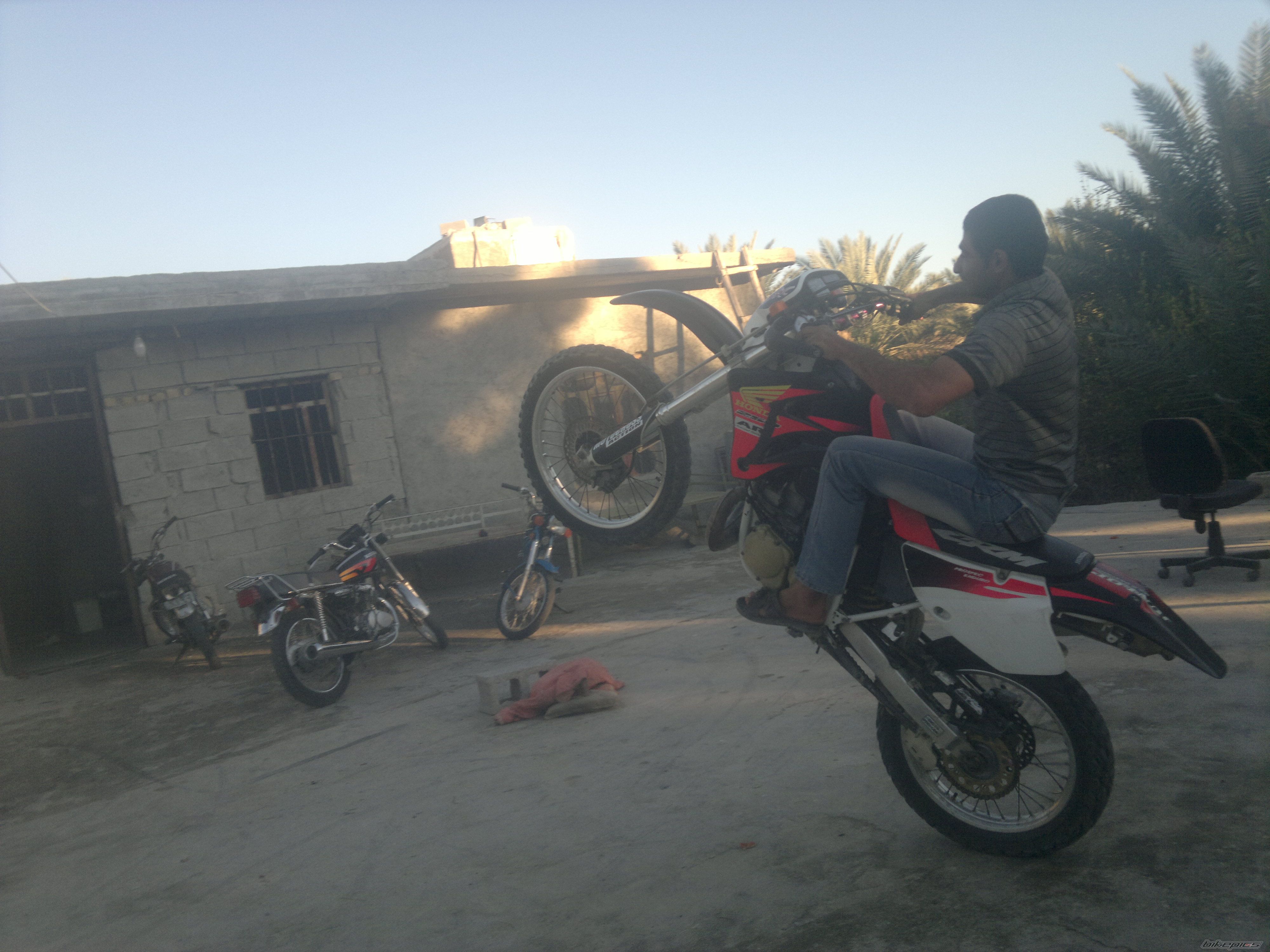 Photo 2450813