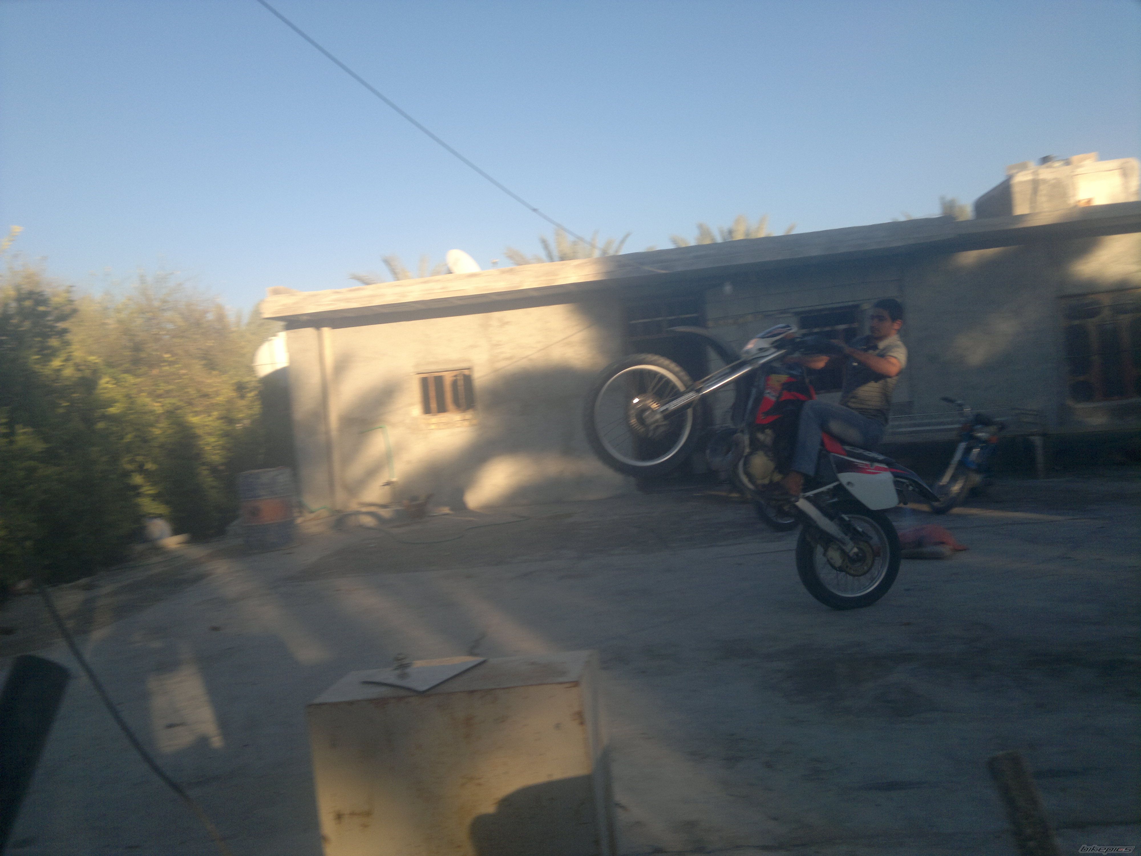 Photo 2450814