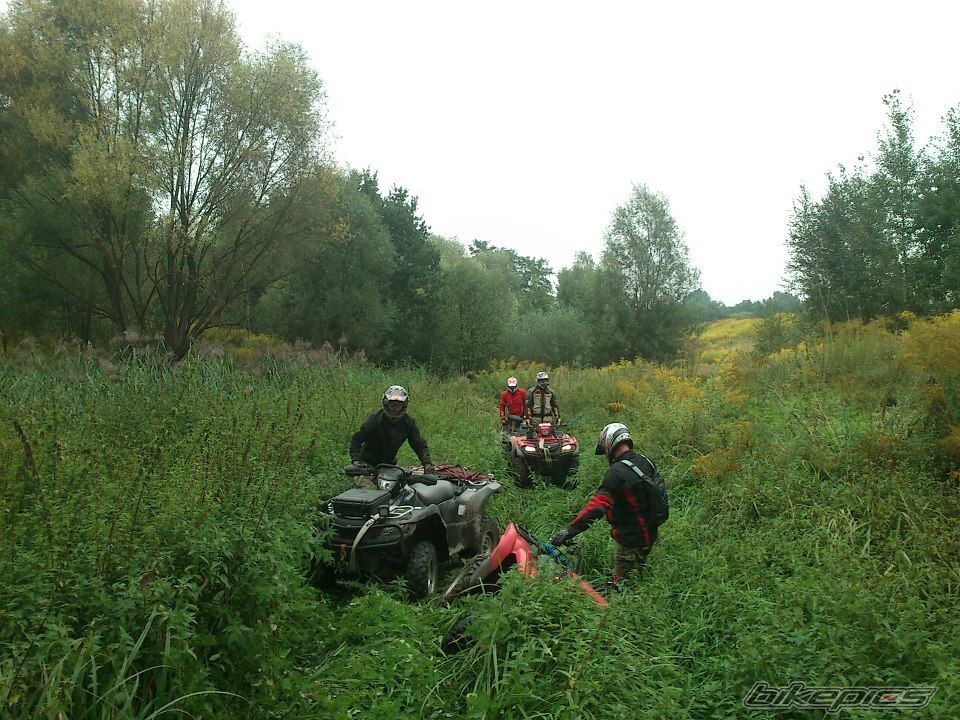 Photo 2450921