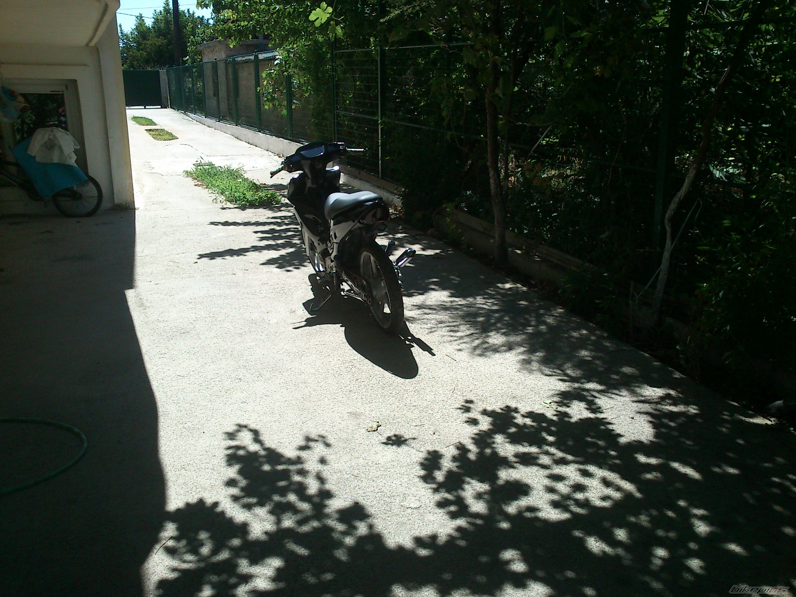 Photo 2450980
