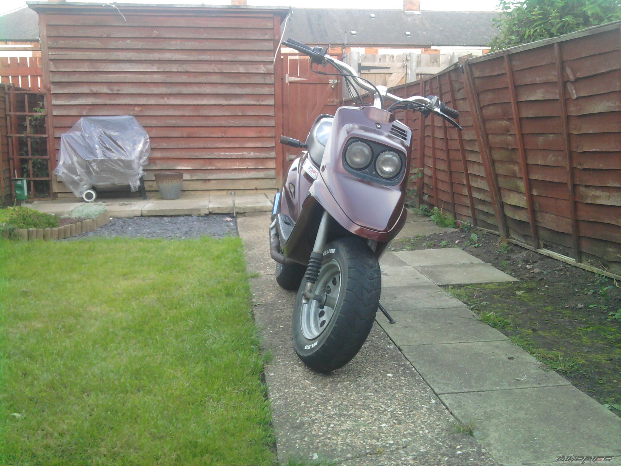 Photo 2451013