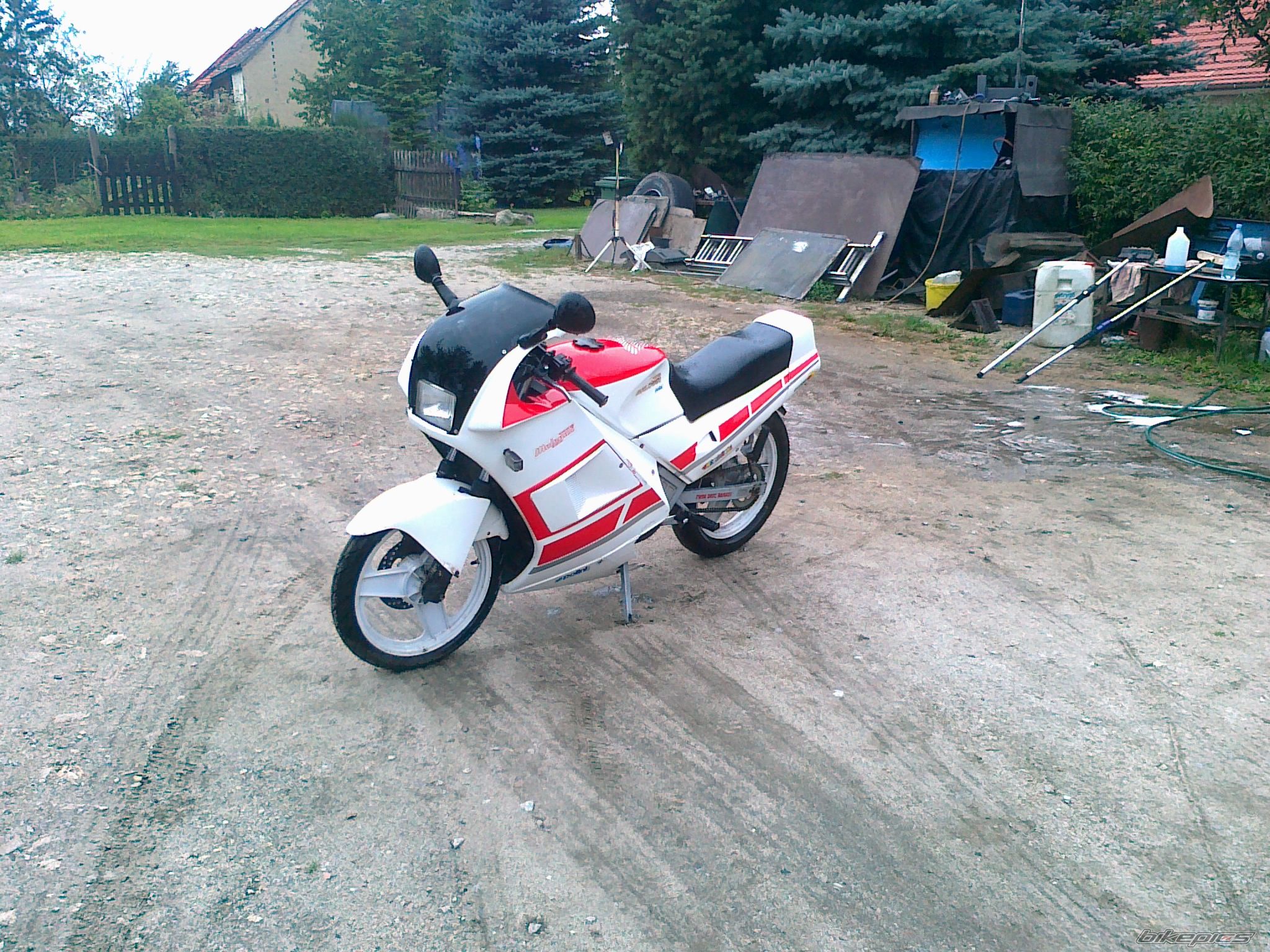 Photo 2451014