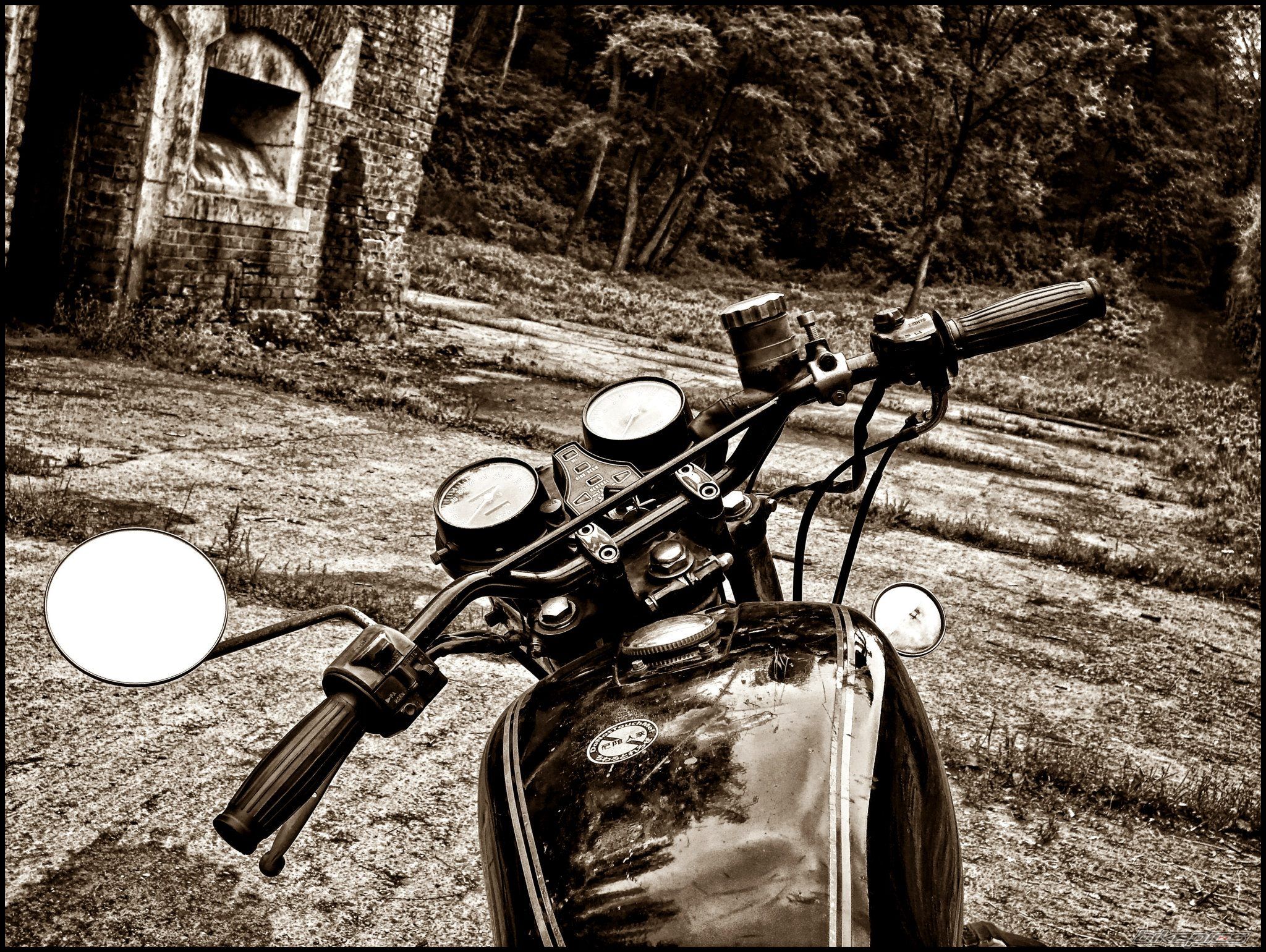 Photo 2451051