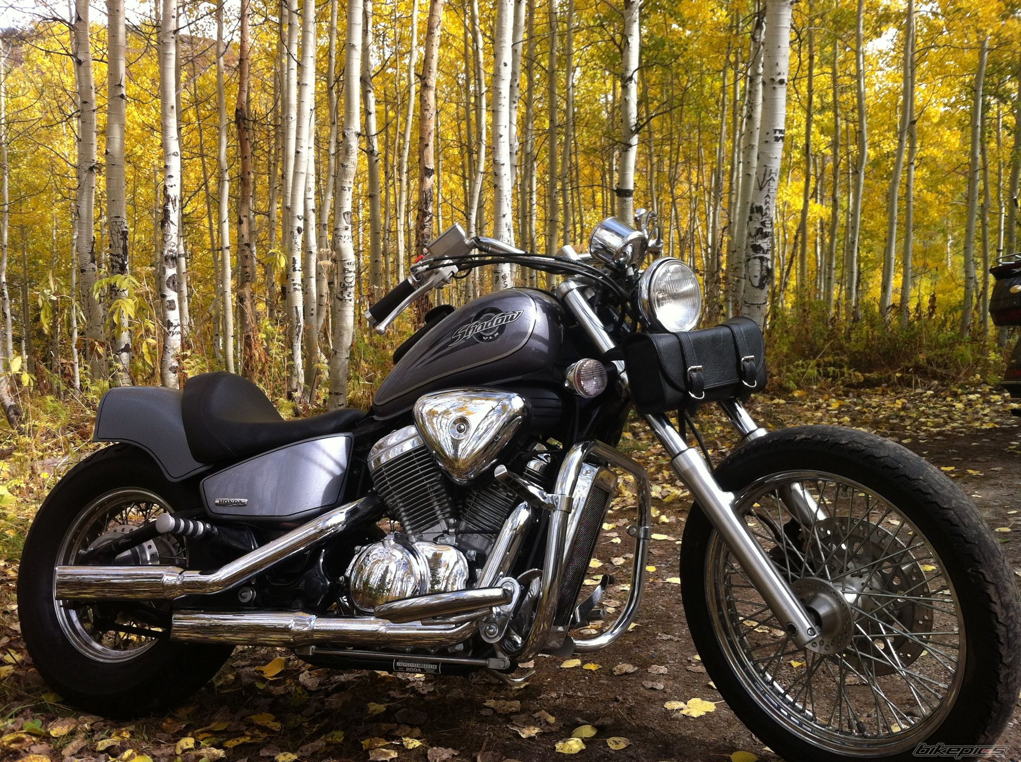 Bike Photo 2451230