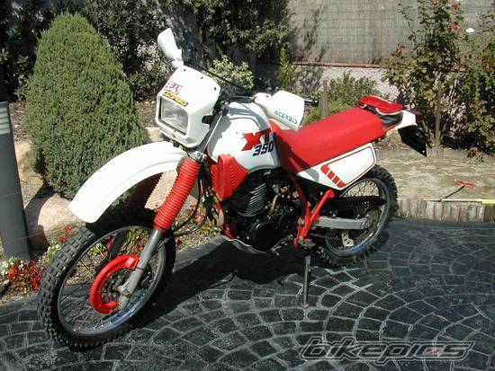 Bike Photo 245126