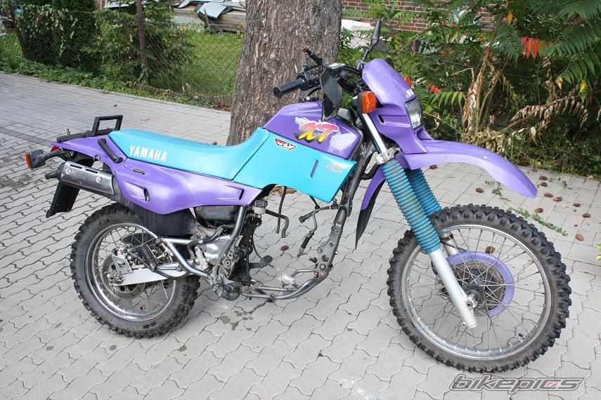 Photo 2451313