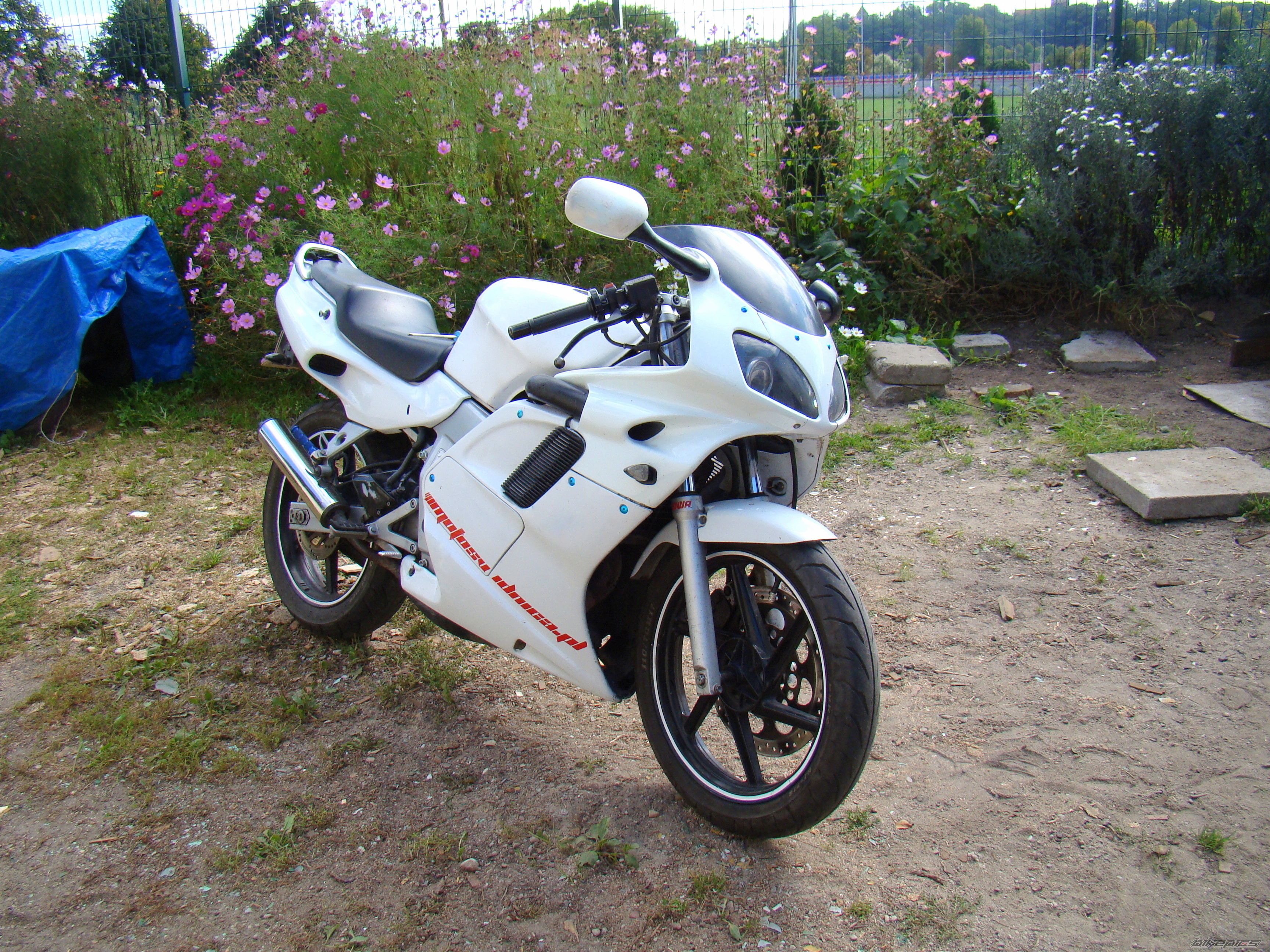 Bike Photo 2451338