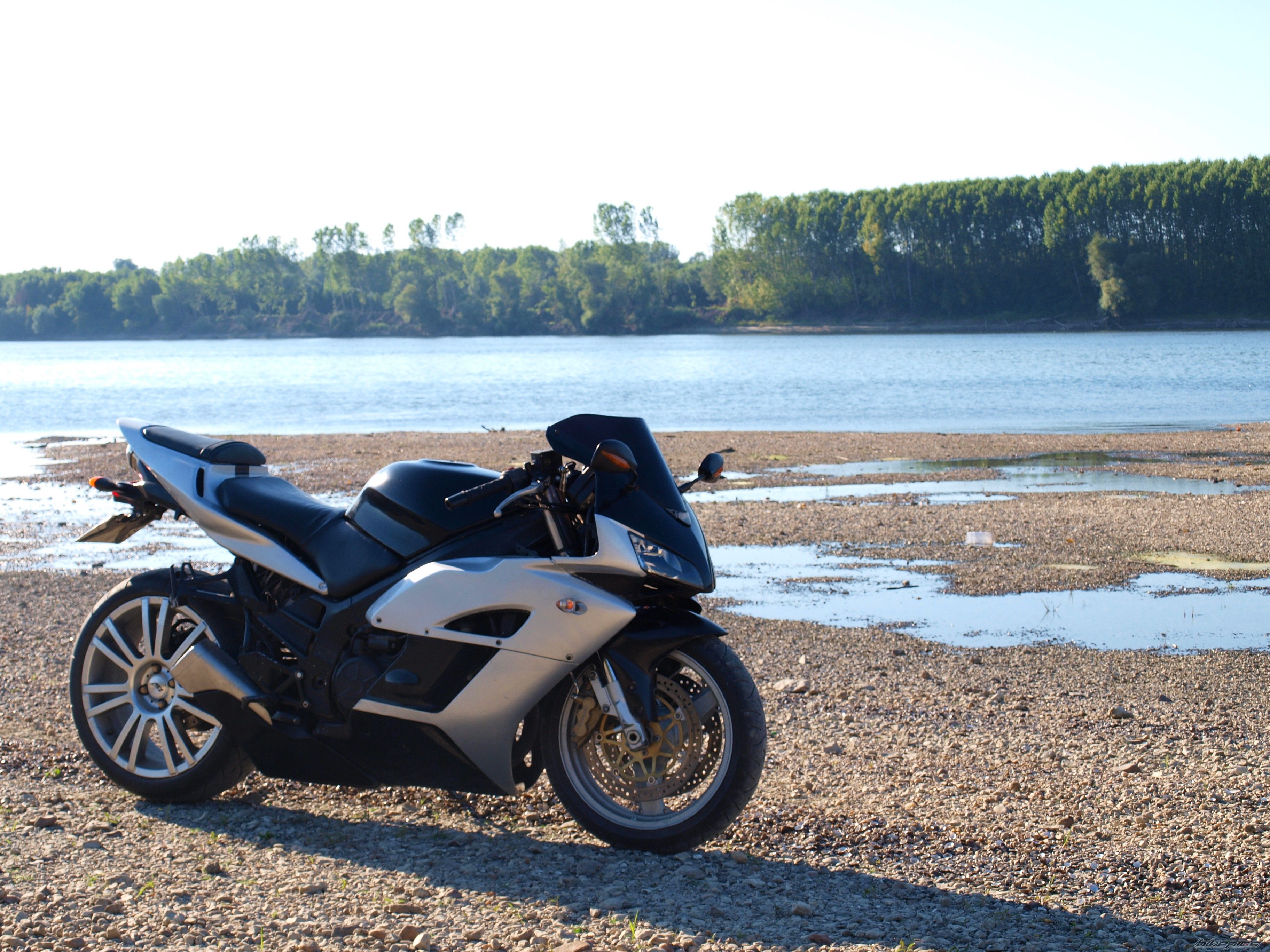 Photo 2451393