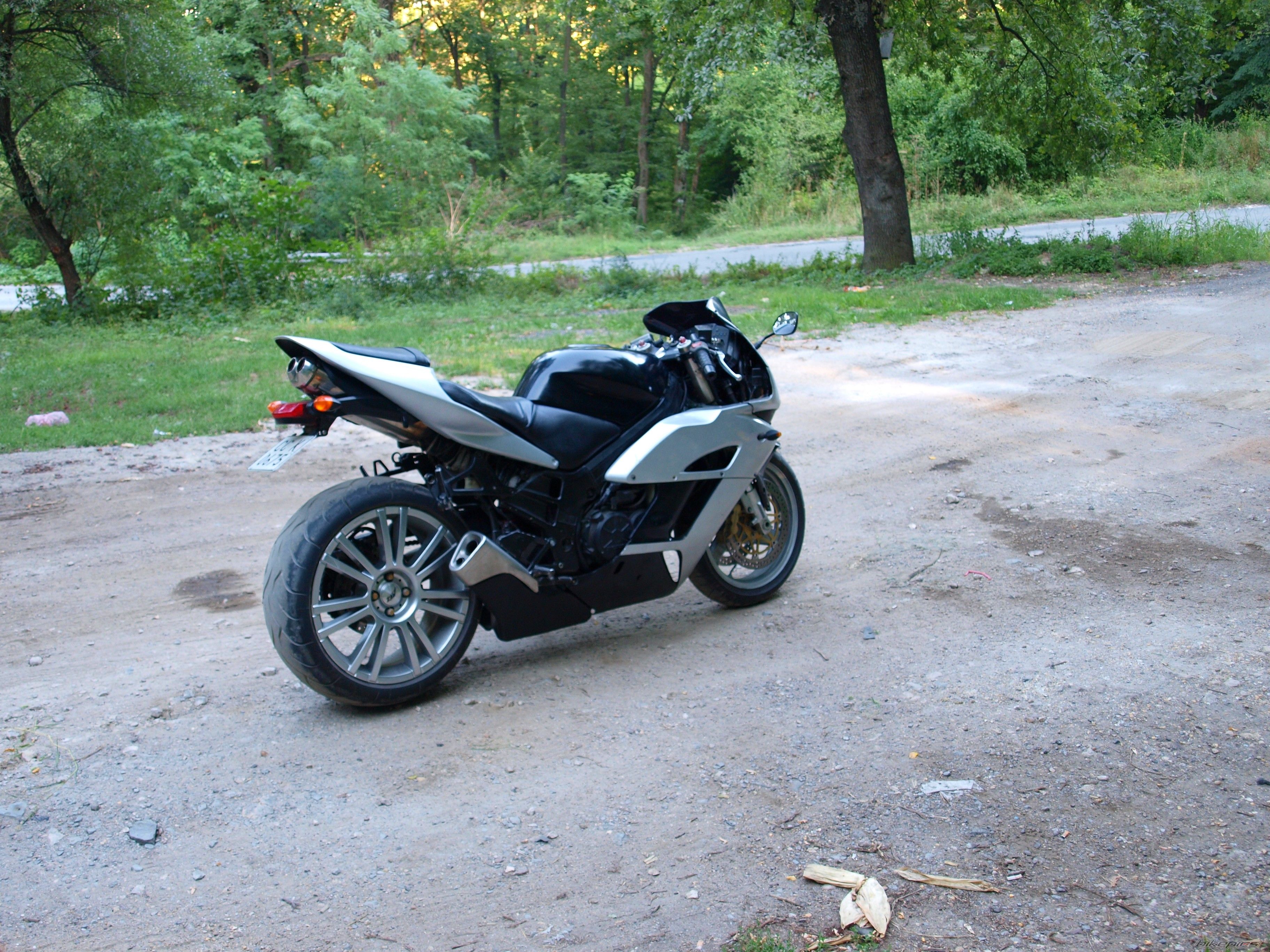 Photo 2451401