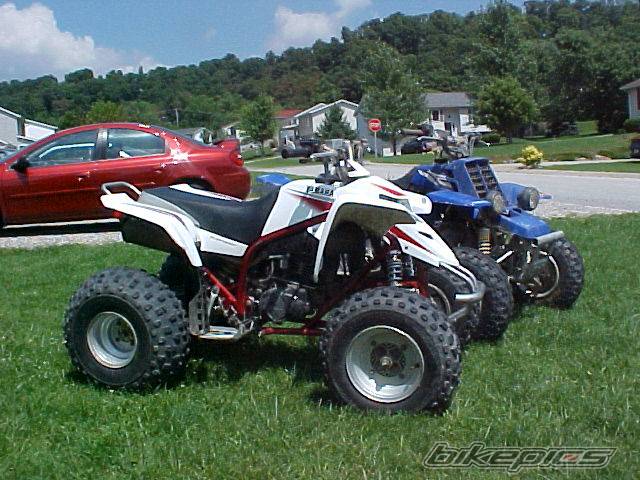 Photo 245142