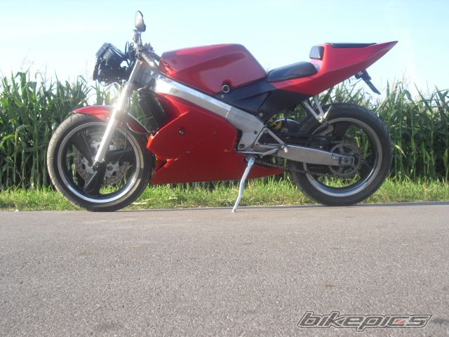 Photo 2451423