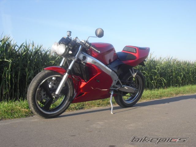 Photo 2451424