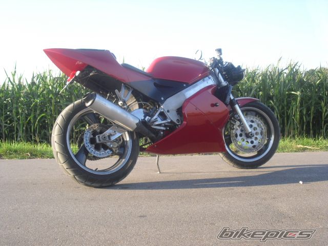 Photo 2451427