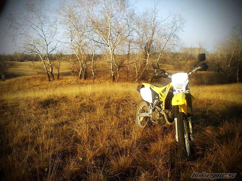 Photo 2451470